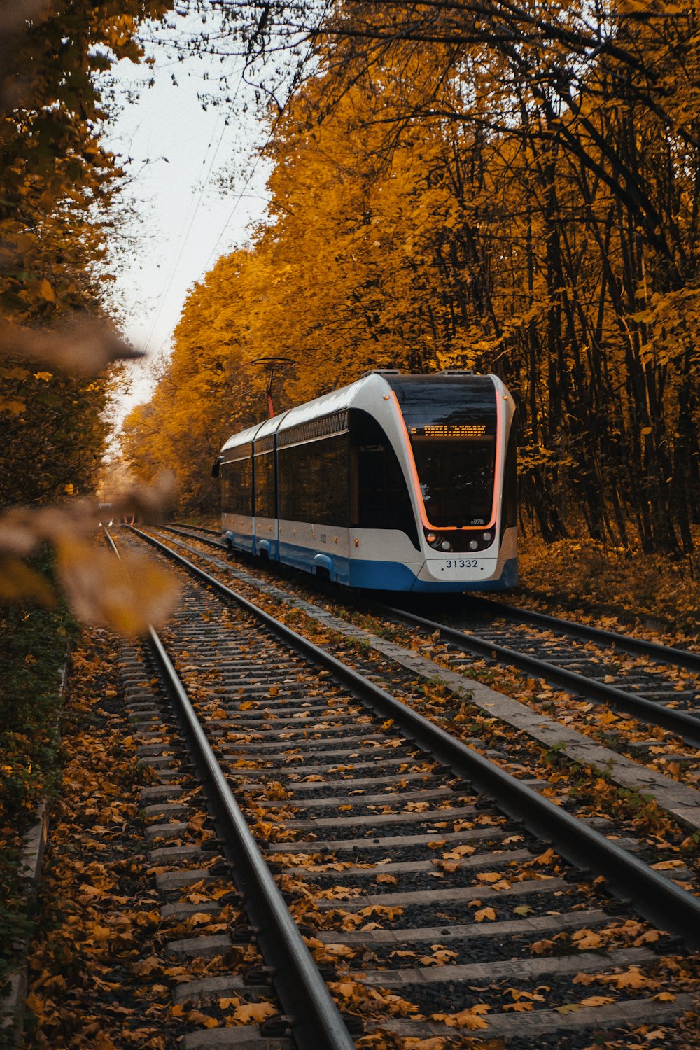 a train traveling down train tracks next to a forest