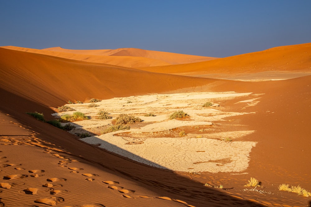 empreintes de pas dans le sable d’une zone désertique