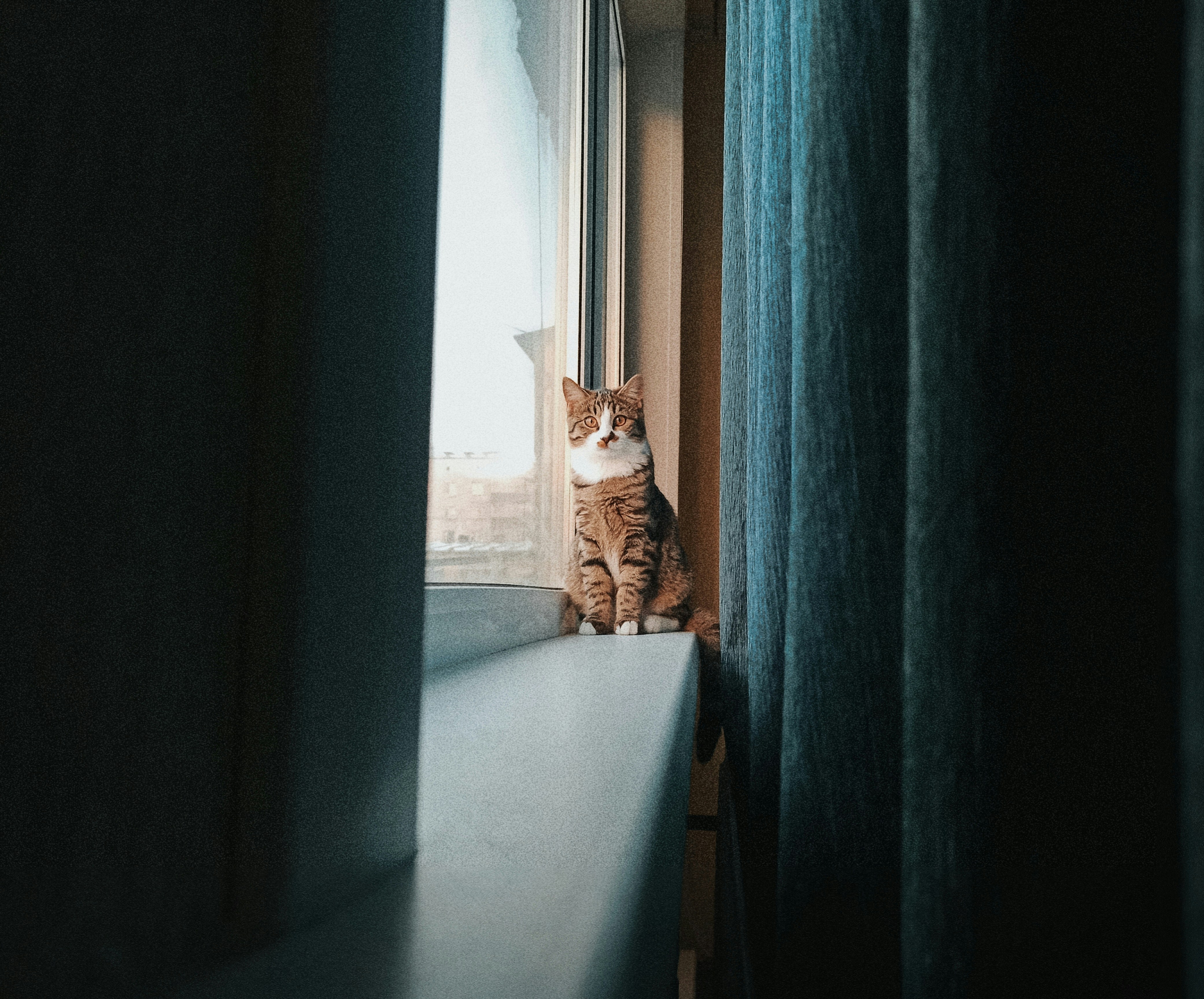 Photo by eugenemagia