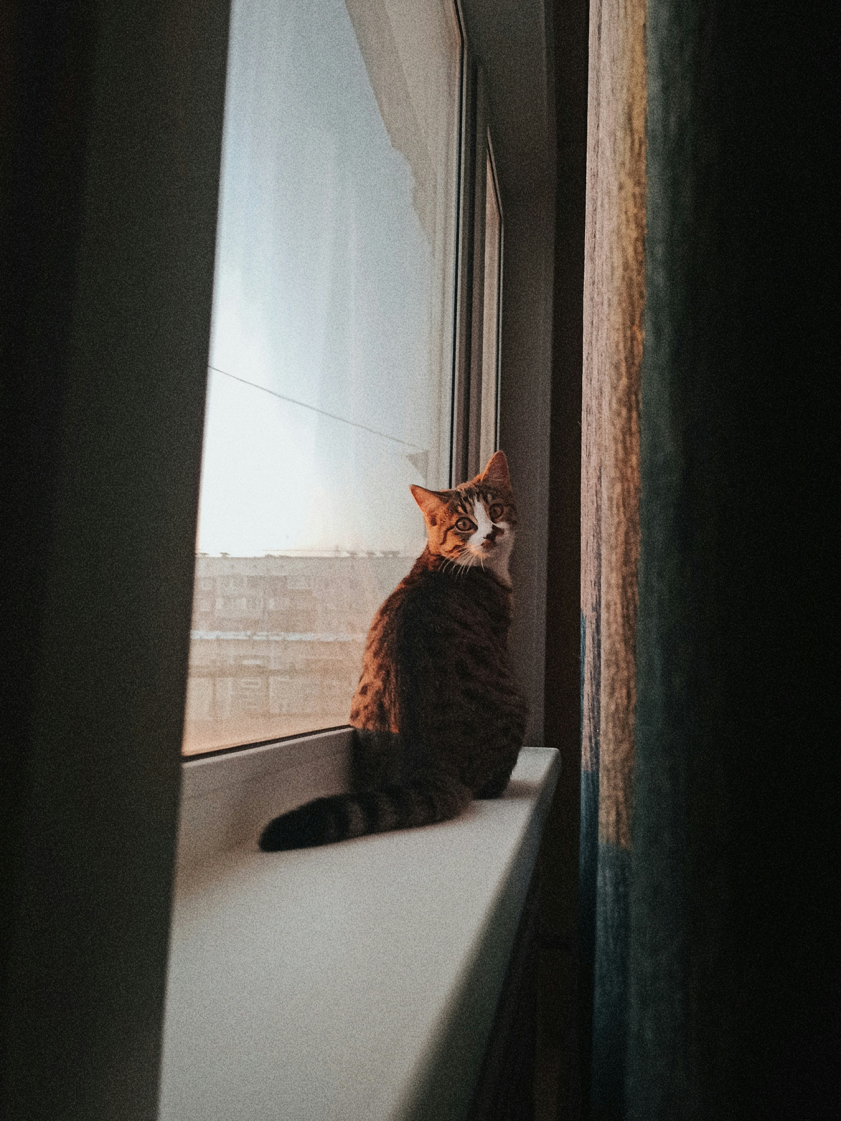 Waiting Patiently for Your Return (image credits: unsplash)