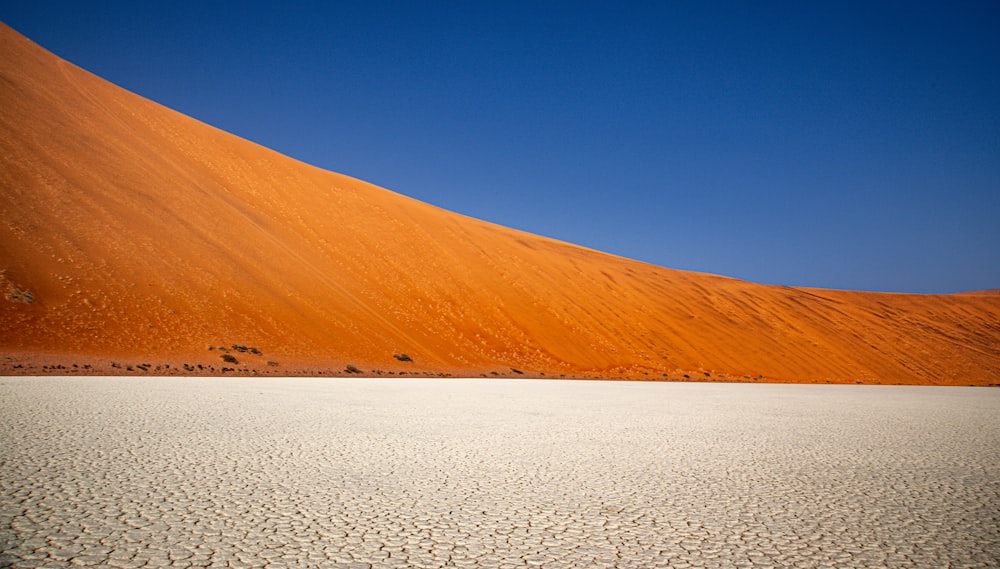 a lone tree in the middle of a desert