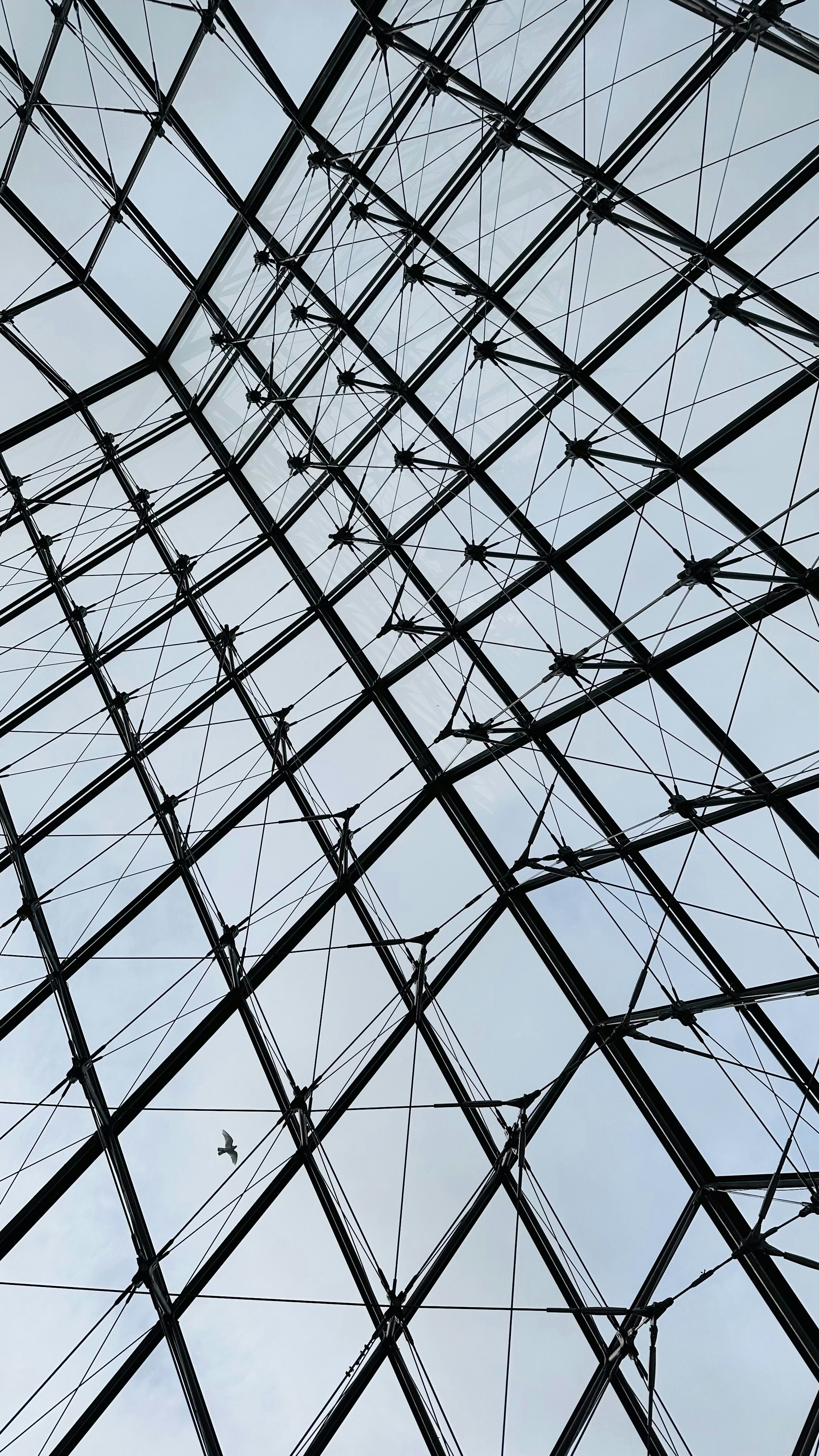 Photo by maartenscheer