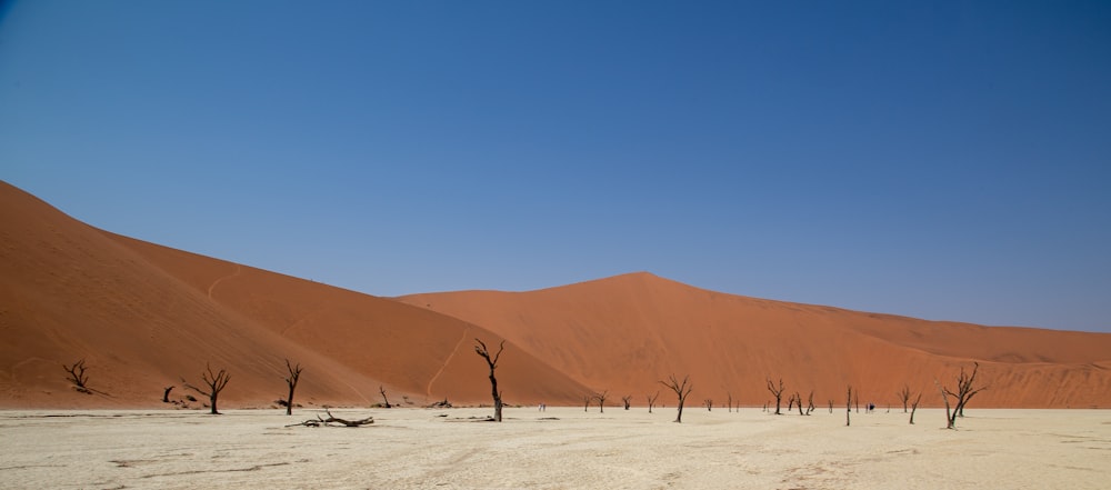 a desert landscape with sparse trees in the foreground