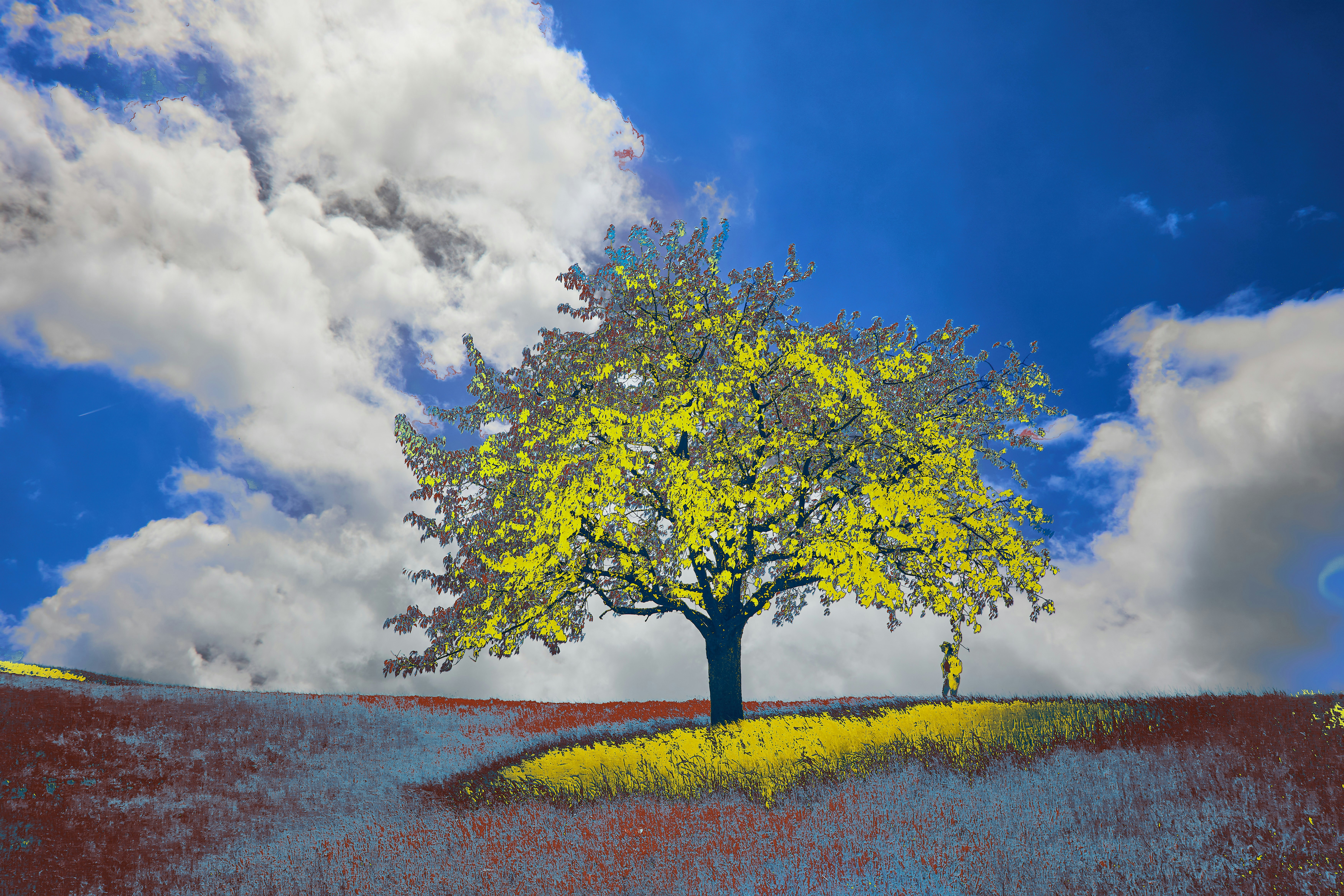 Photo by wolfgang_hasselmann