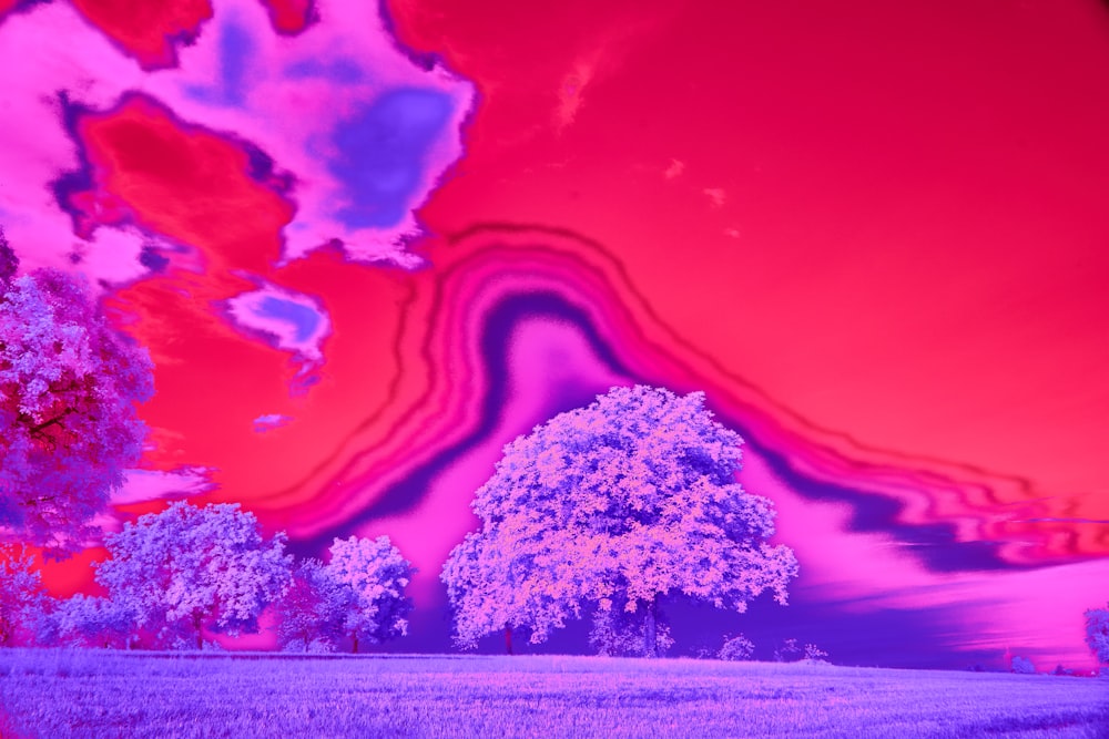 a infrared image of a tree in a field