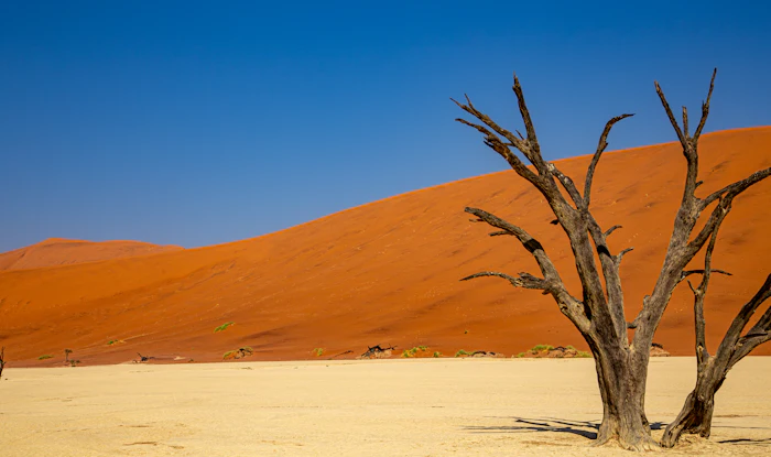 Namibia