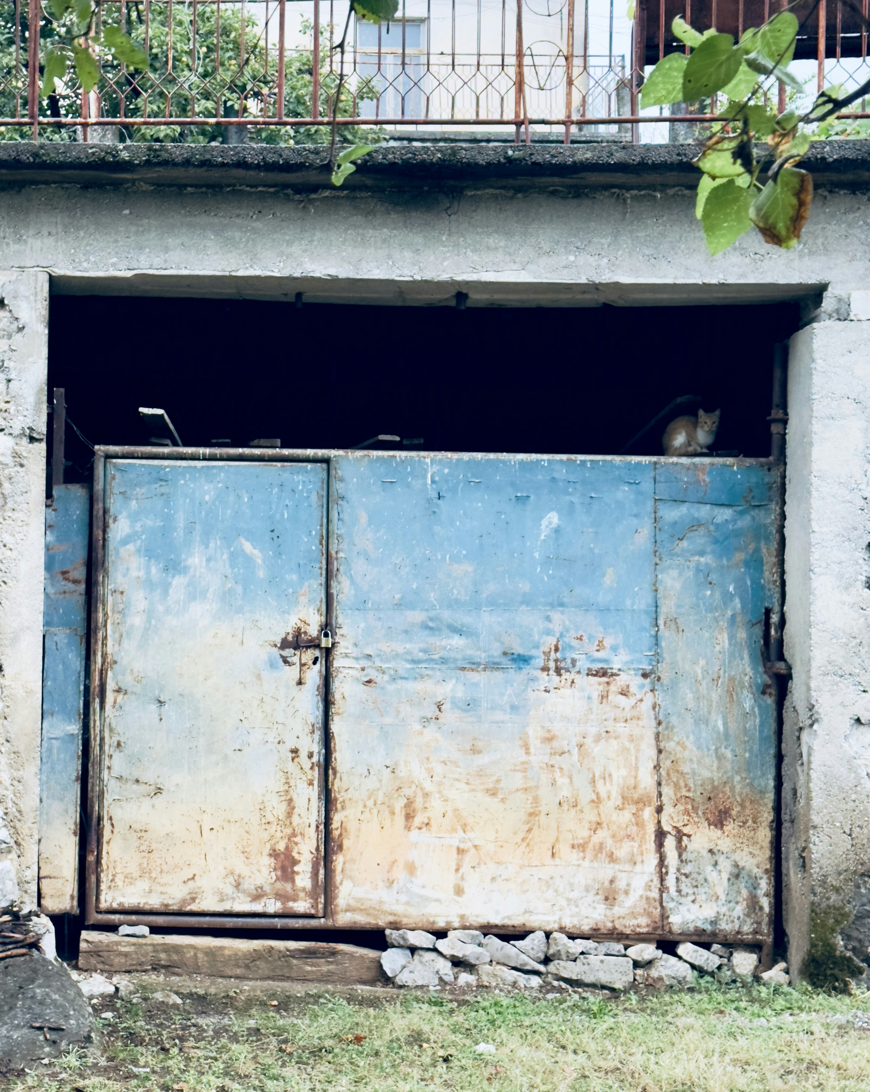 Photo by williammcgreeb