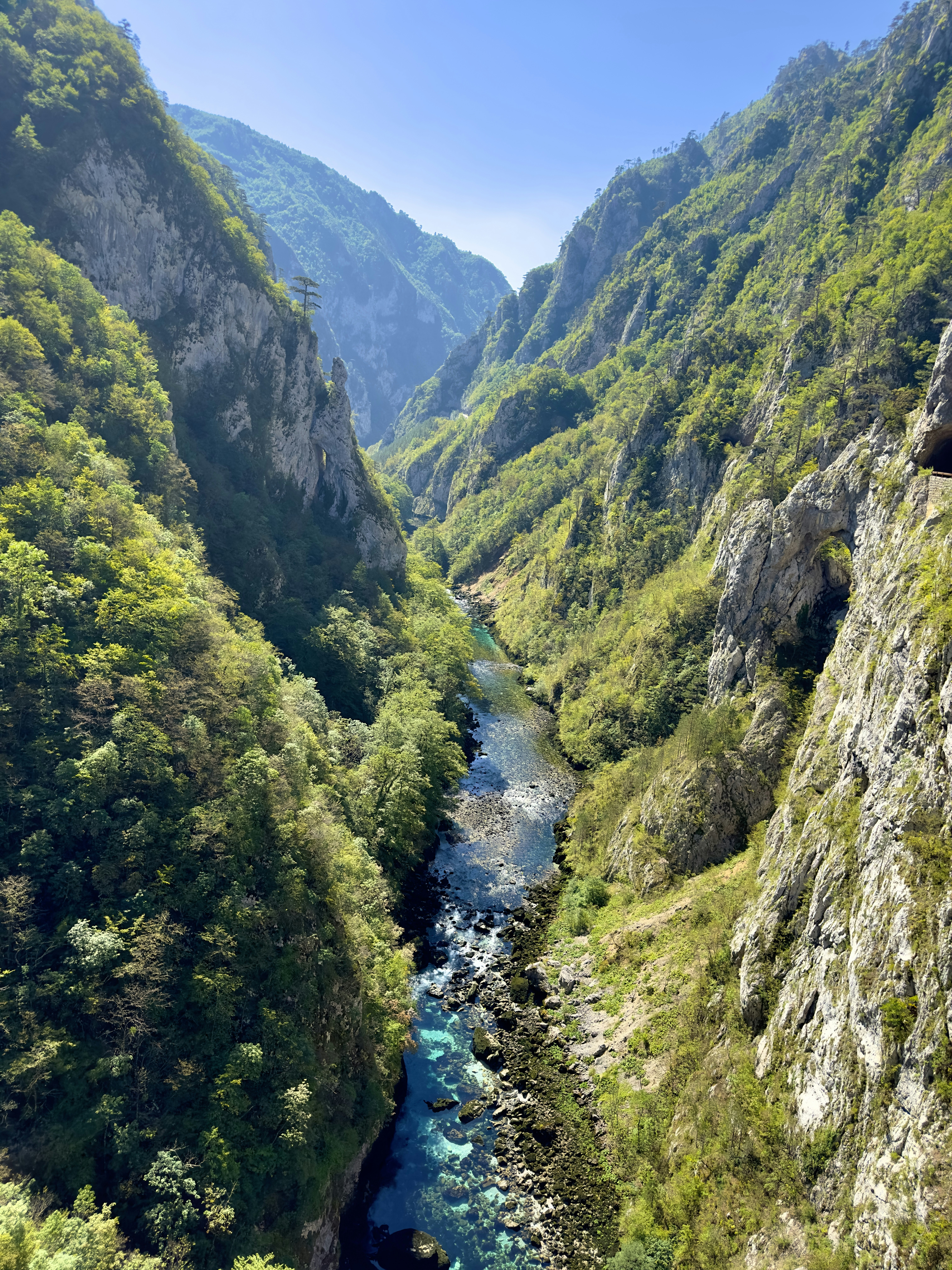 Photo by williammcgreeb