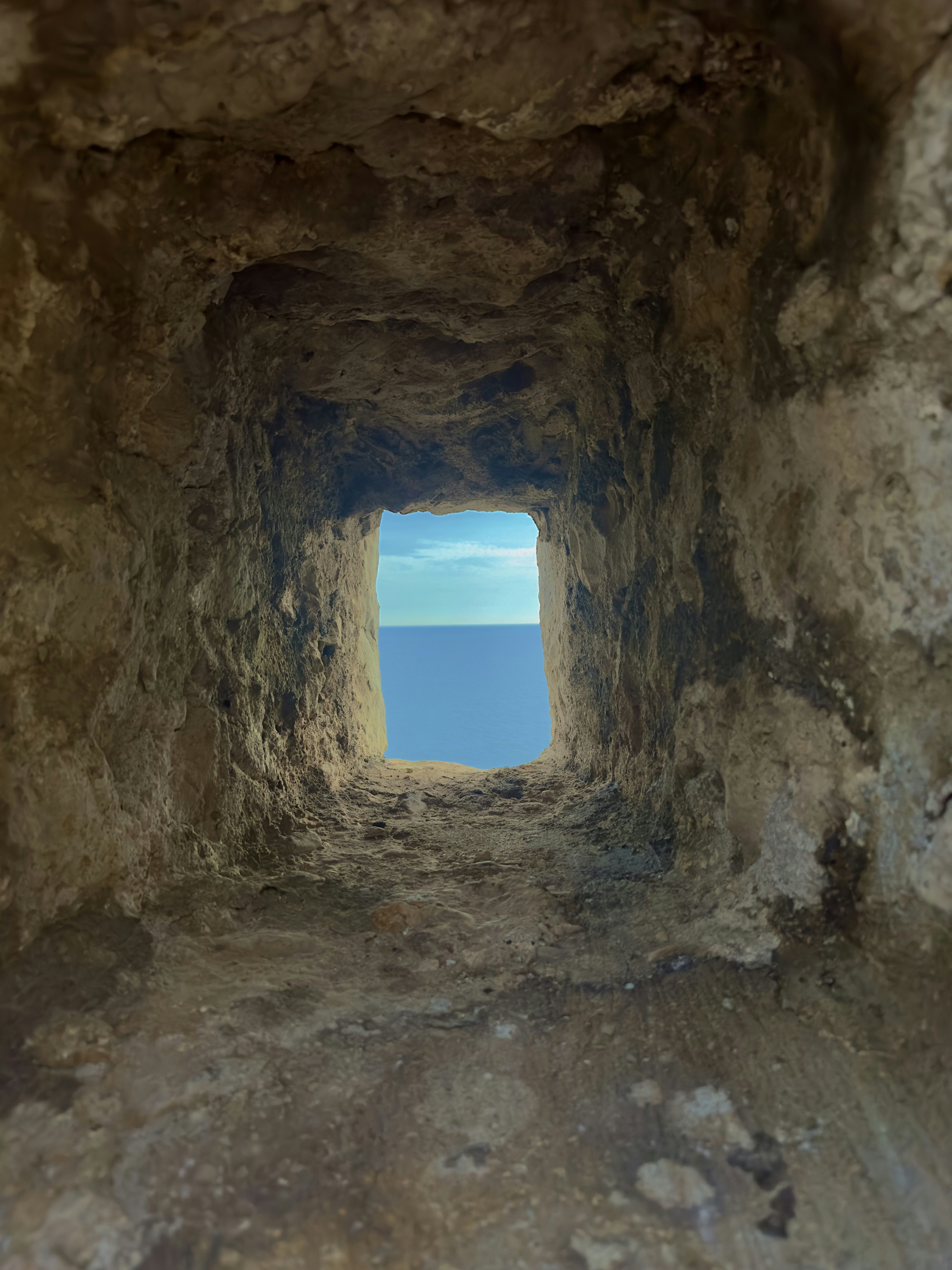 Photo by williammcgreeb