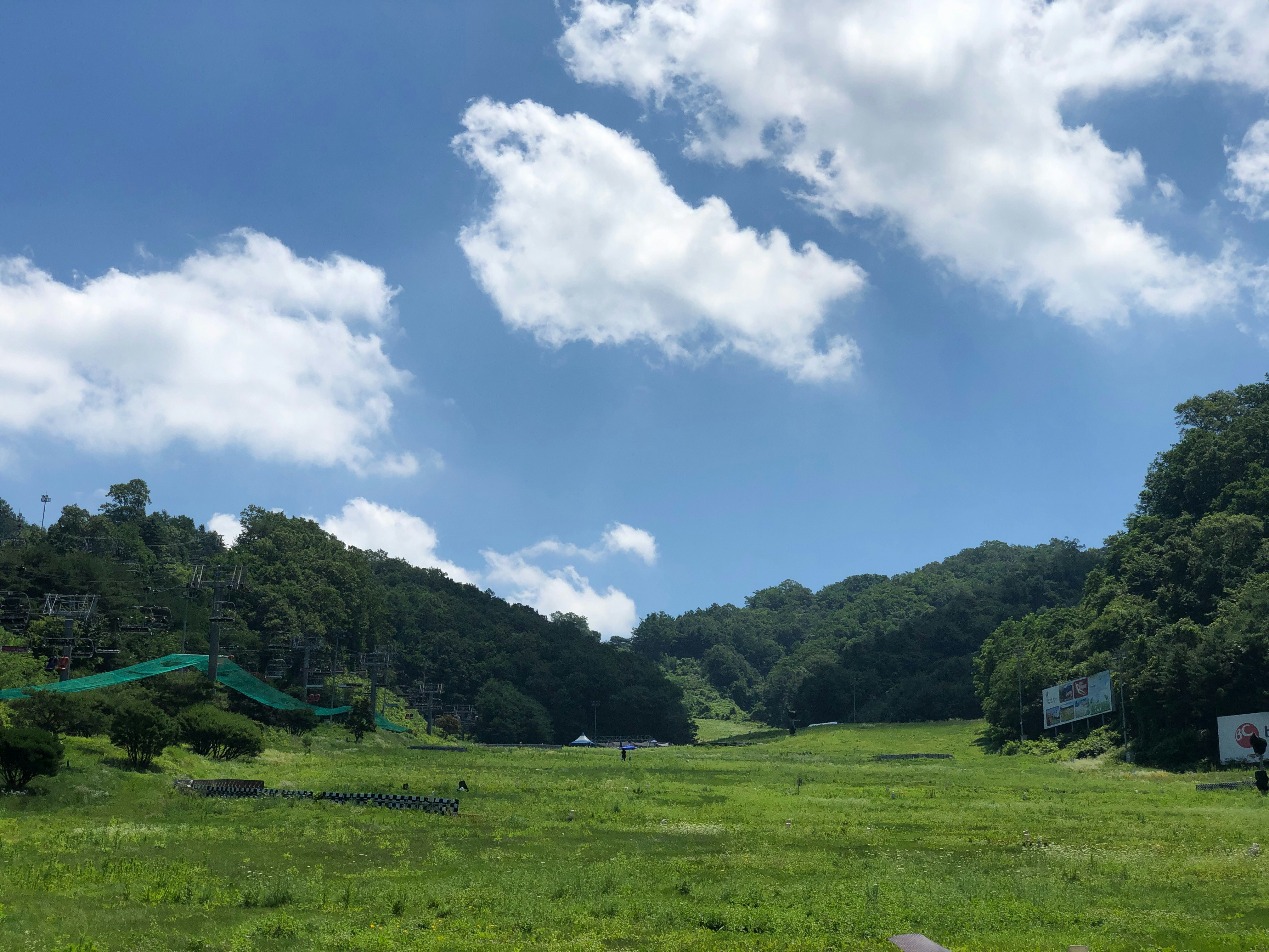 a grassy field with trees in the background