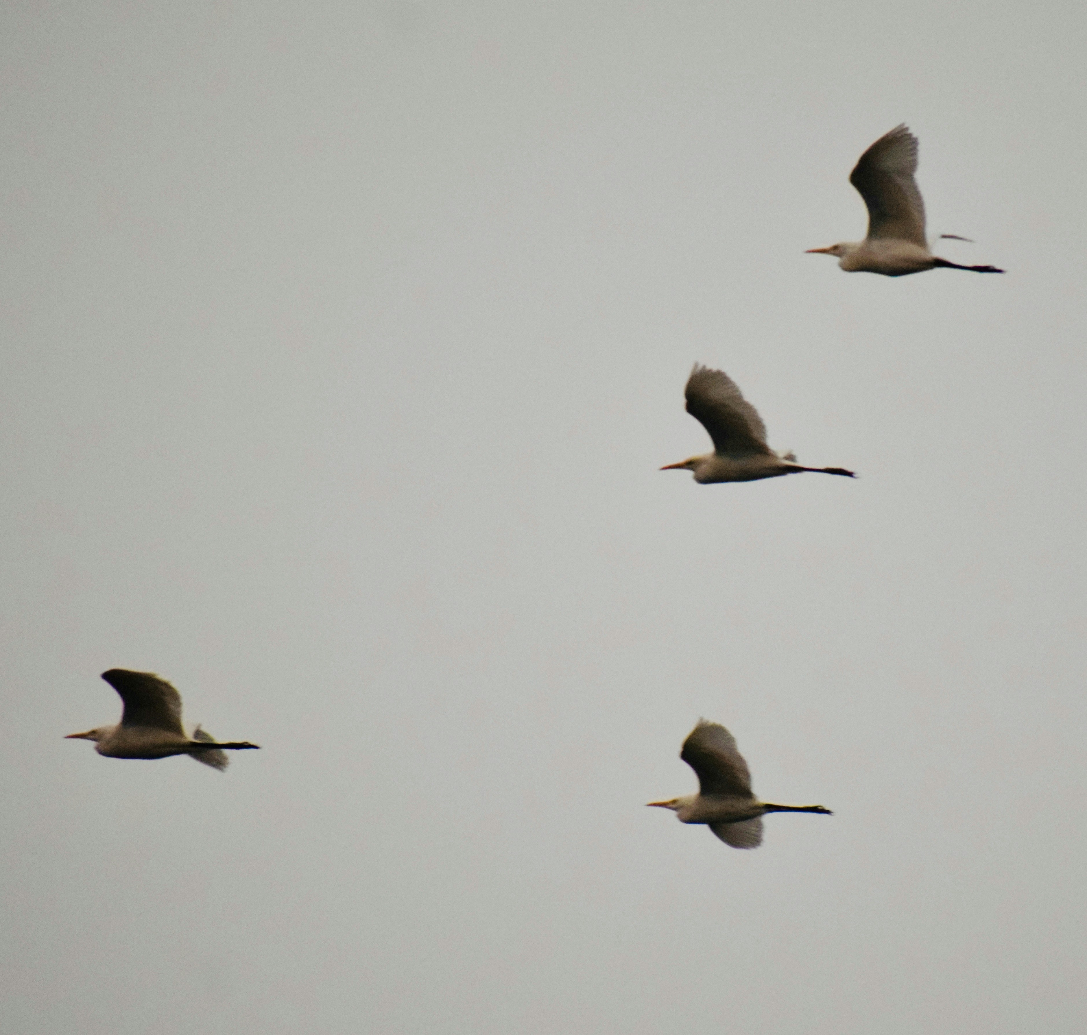 Photo by theushakiran