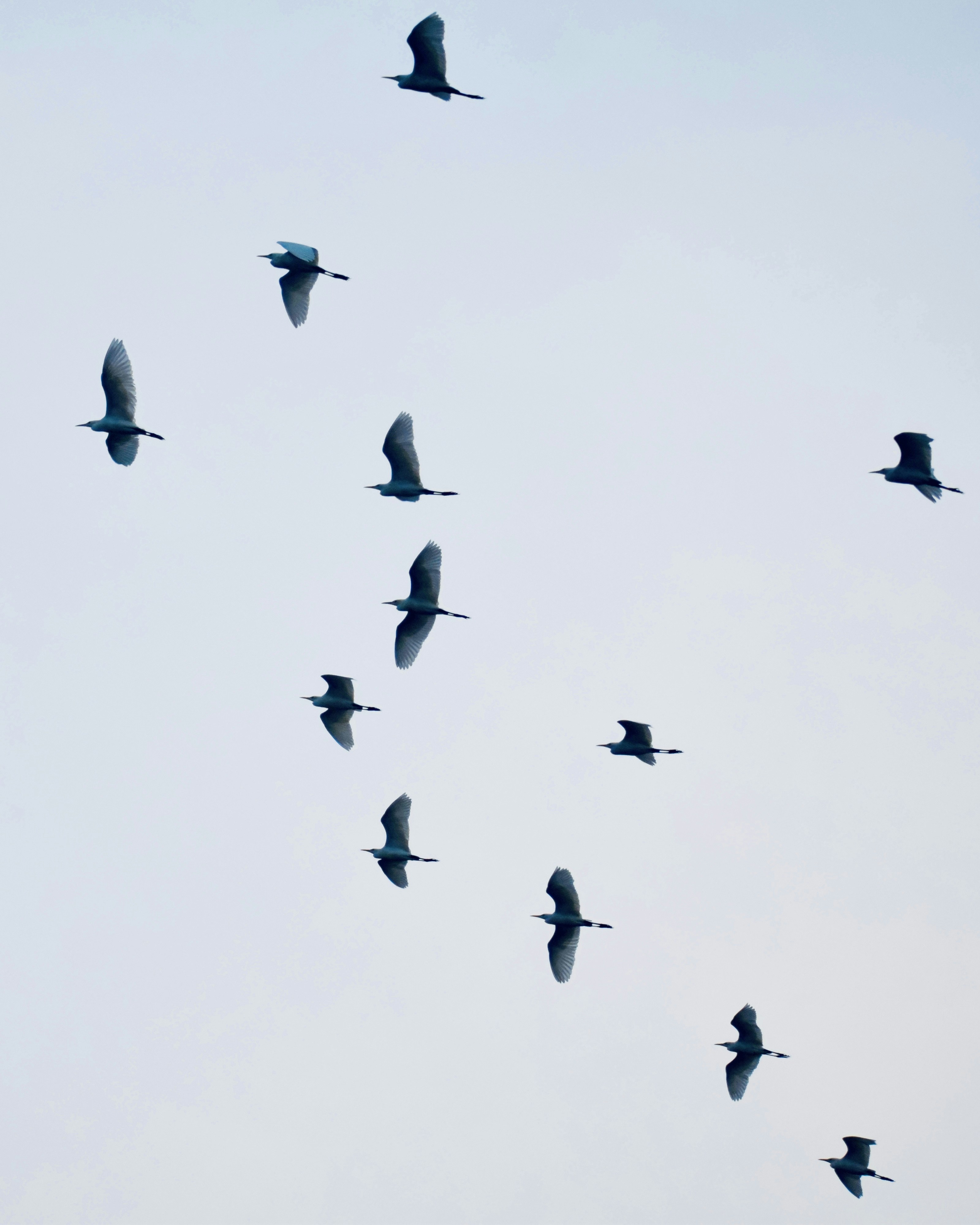 Photo by theushakiran