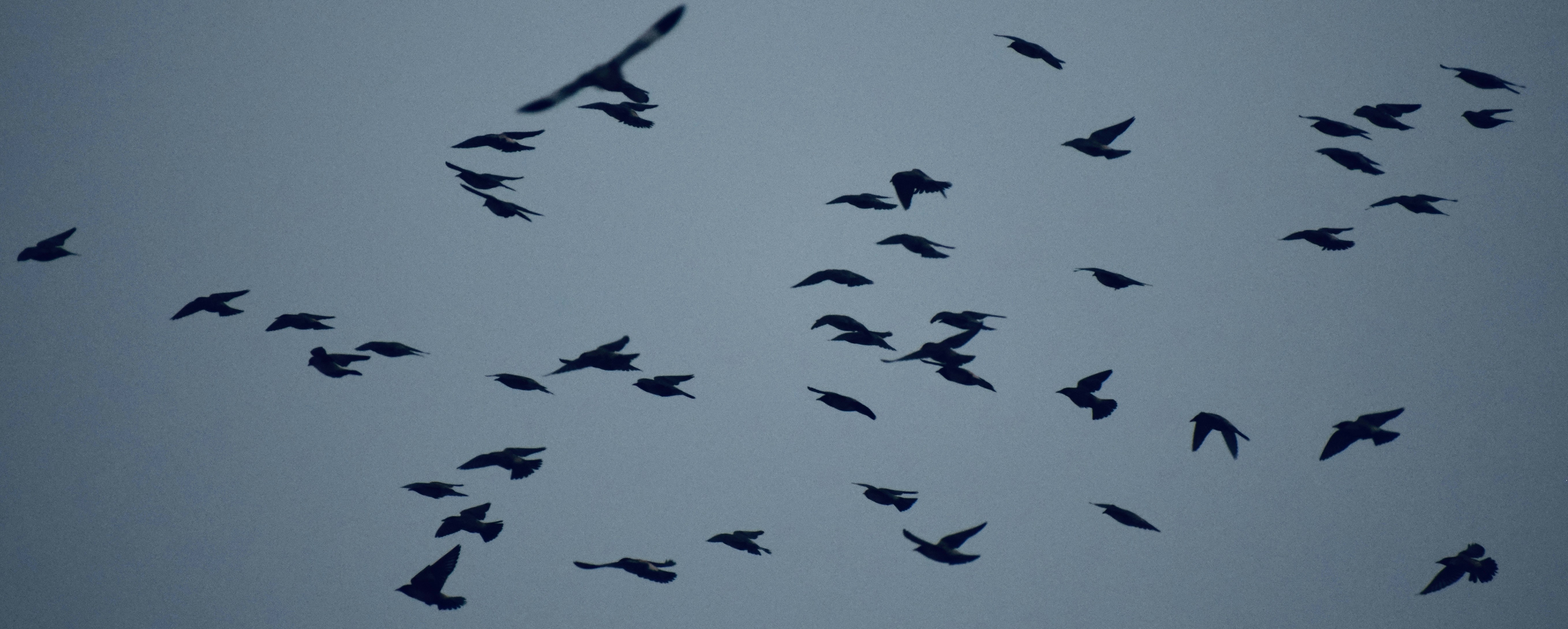 Photo by theushakiran