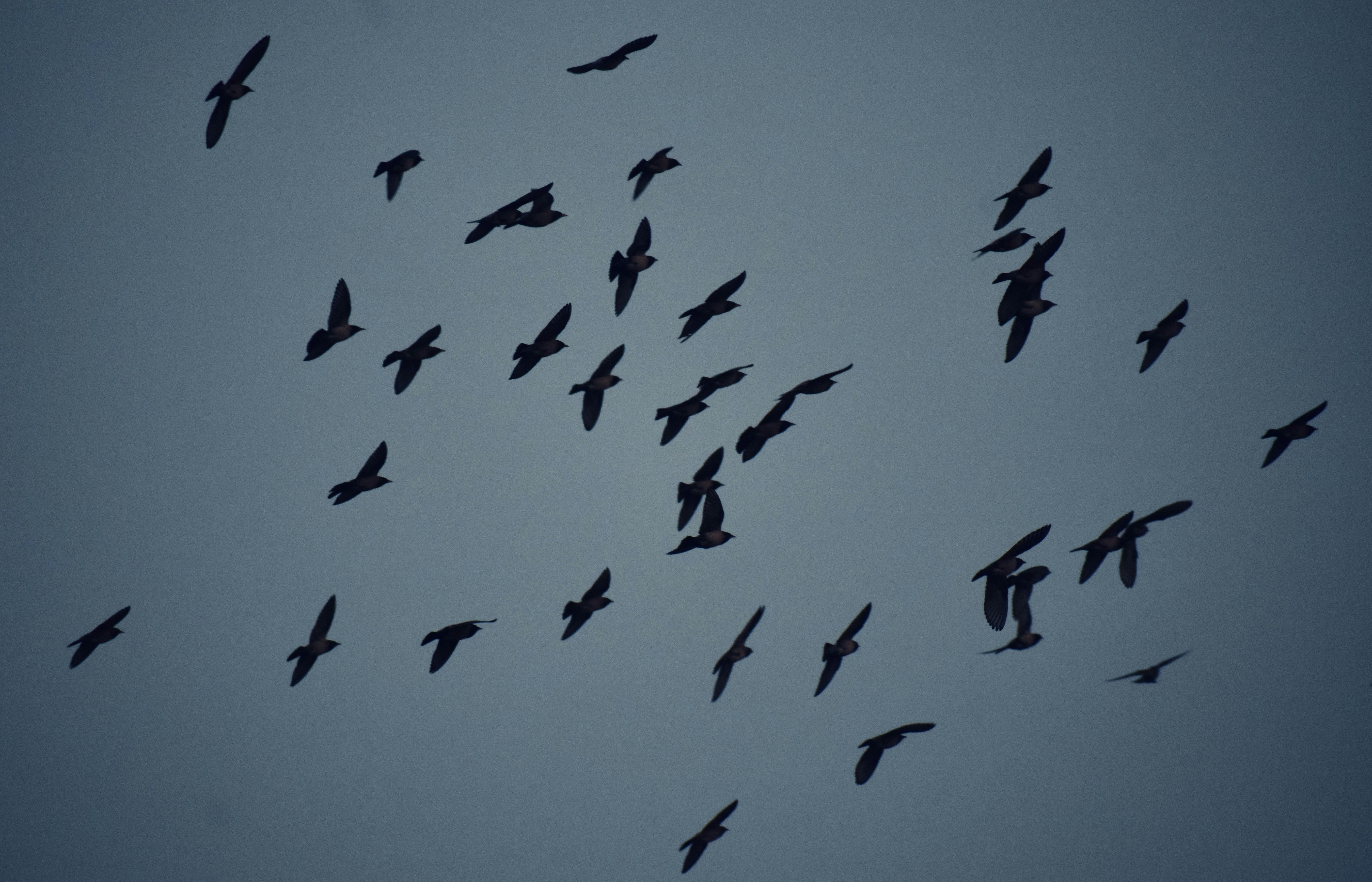 Photo by theushakiran