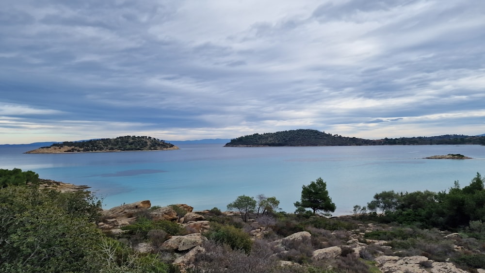 a large body of water surrounded by trees