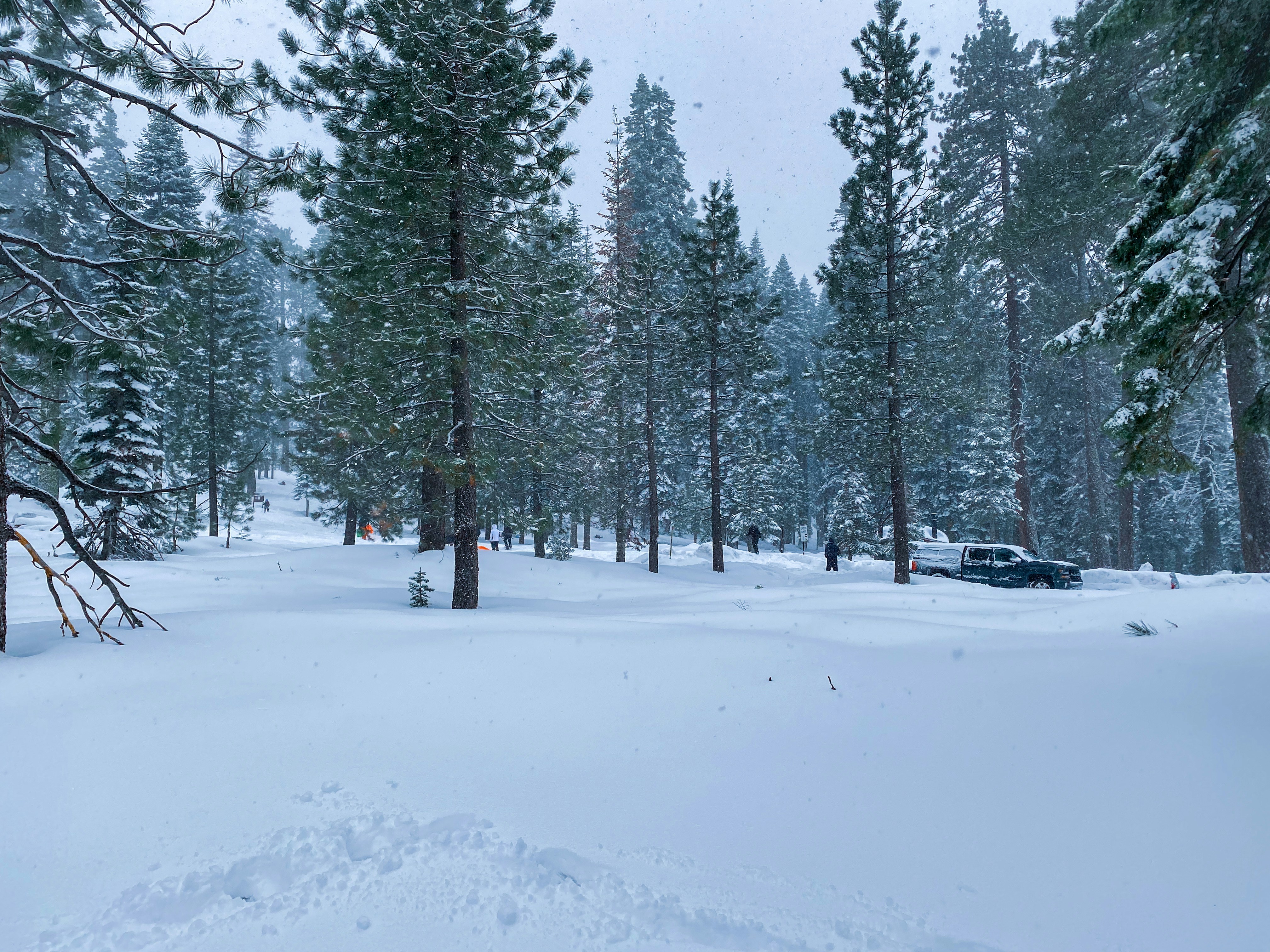 a truck is parked in the middle of a snowy forest