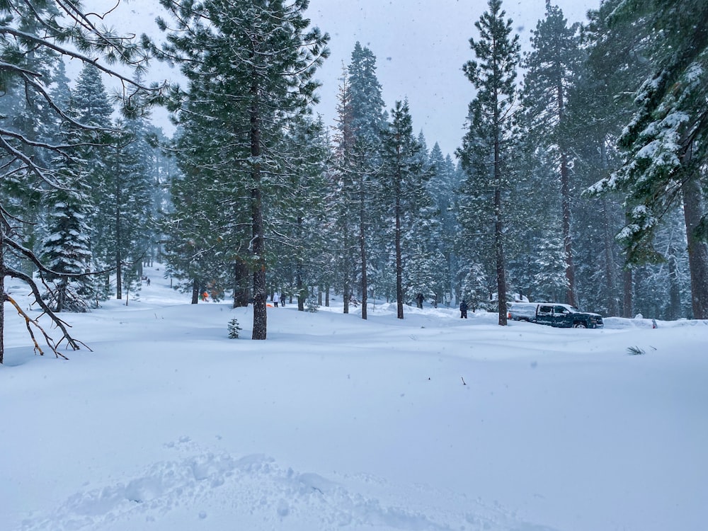 a truck is parked in the middle of a snowy forest