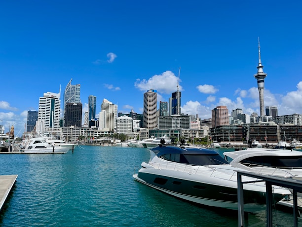 a marina with boats and a city in the background