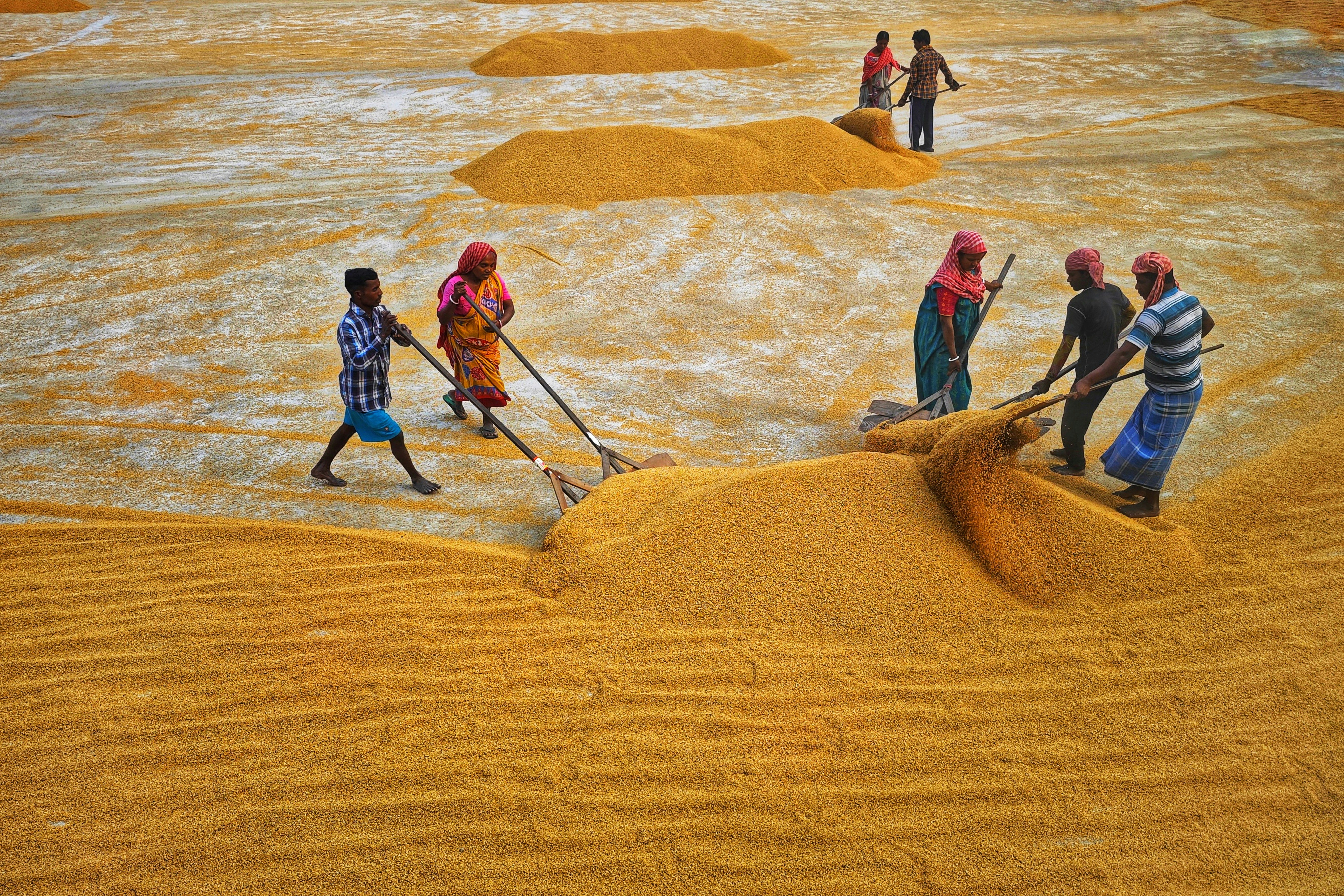 Photo by dibakar16roy