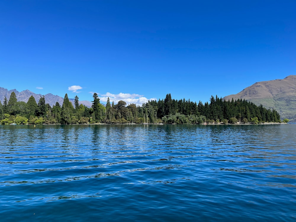 a body of water surrounded by trees and mountains