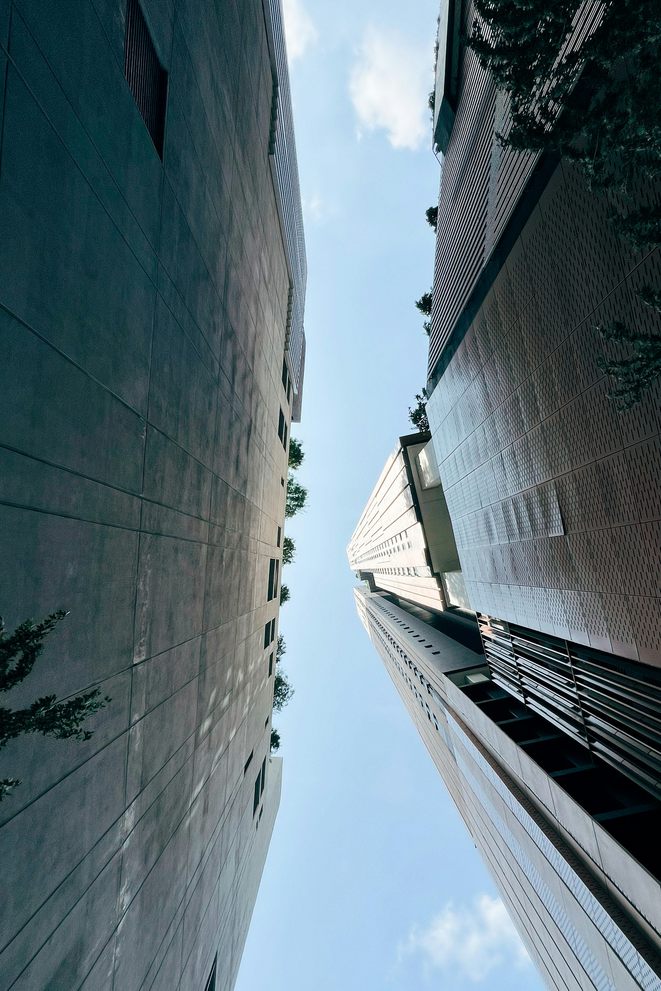 Photo by wanadlyhakim