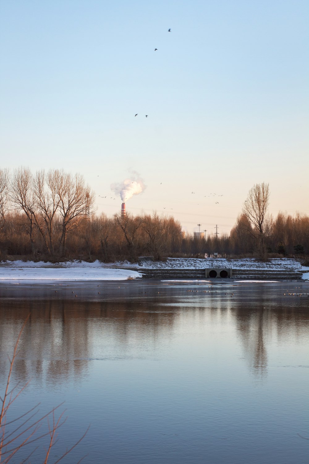 a body of water surrounded by trees and snow