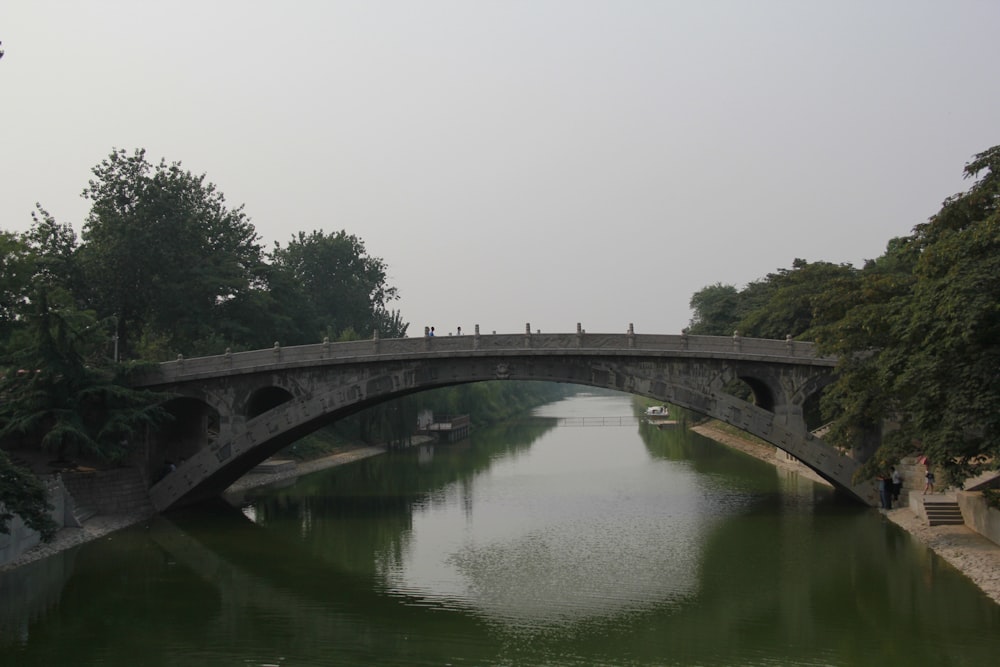 a bridge over a body of water surrounded by trees