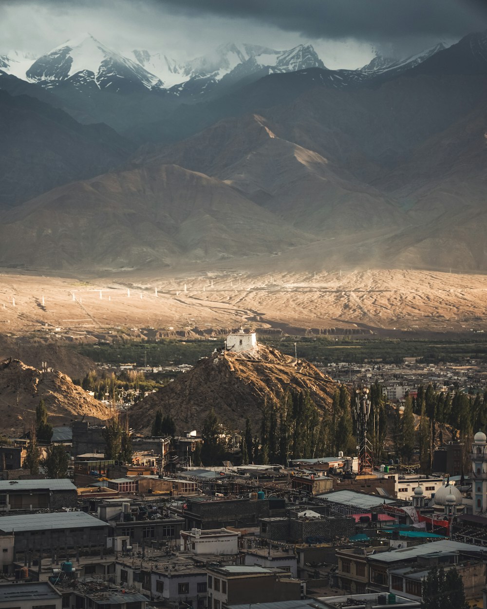 a view of a city with mountains in the background