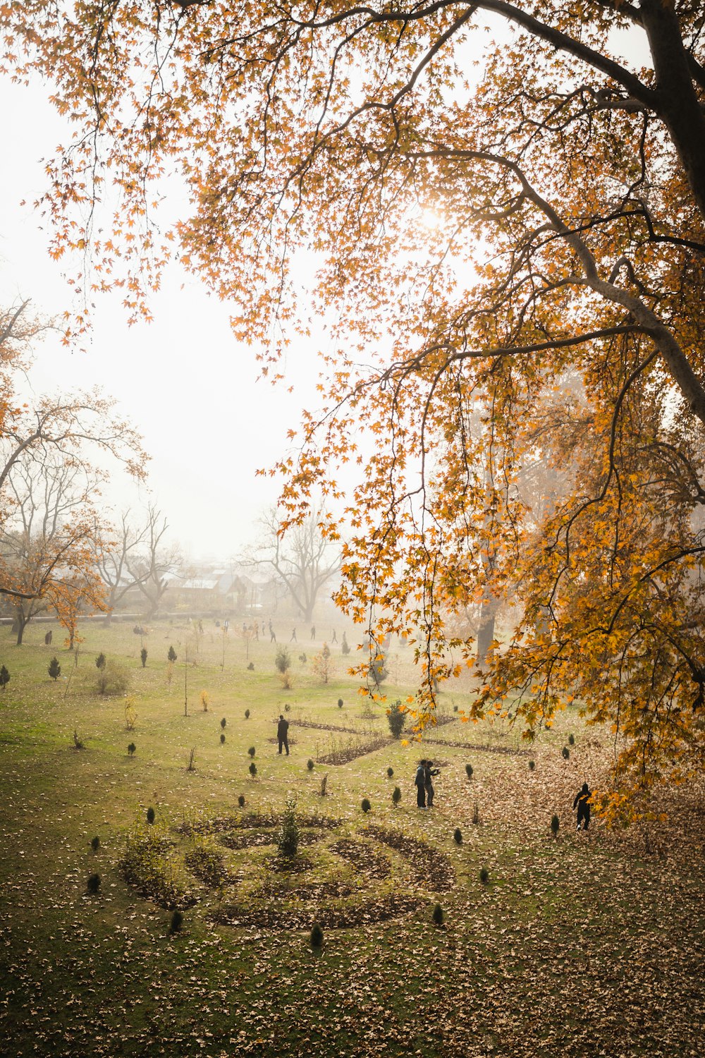 a group of people walking through a park on a foggy day