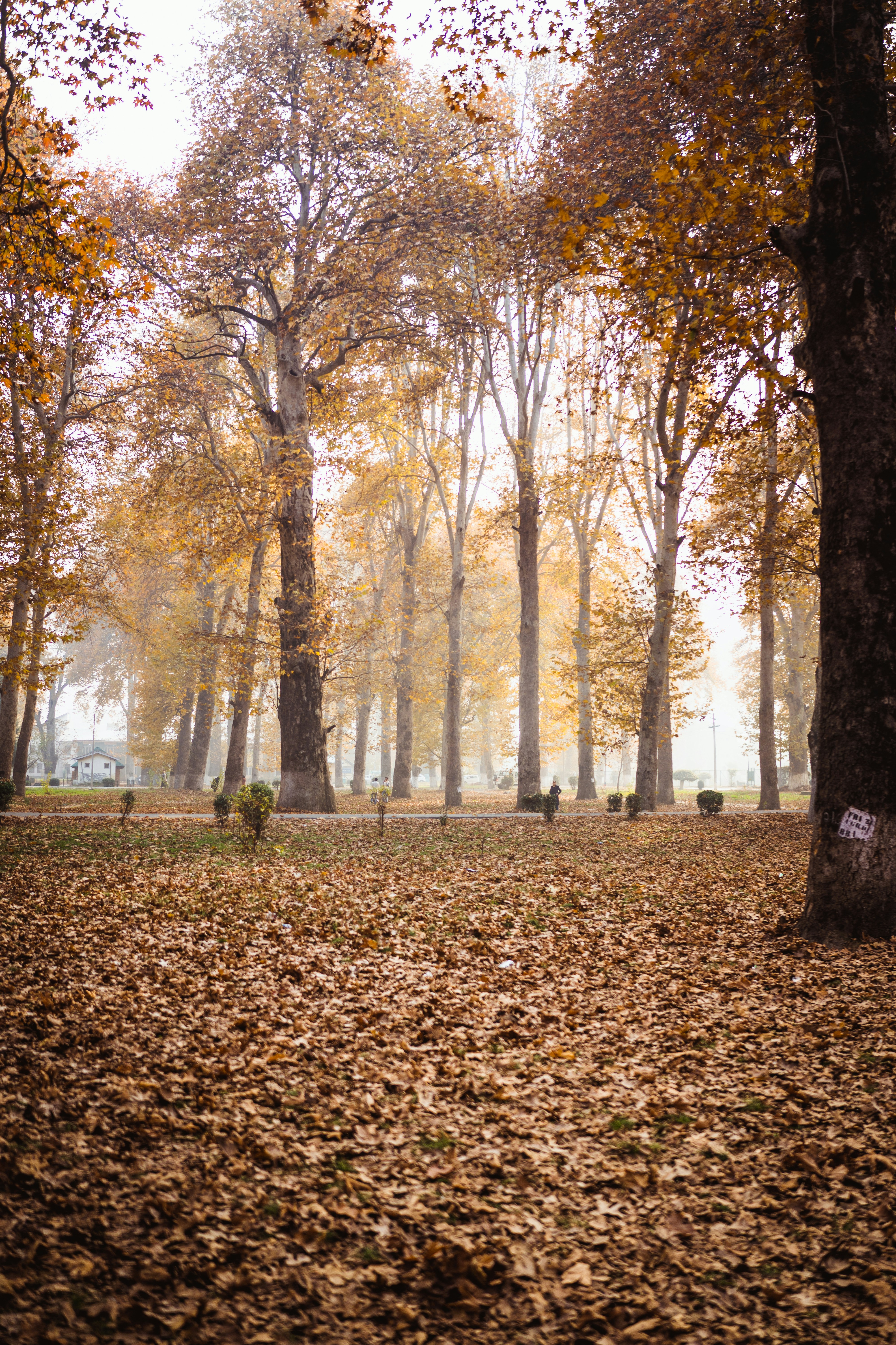 Photo by khanowais44