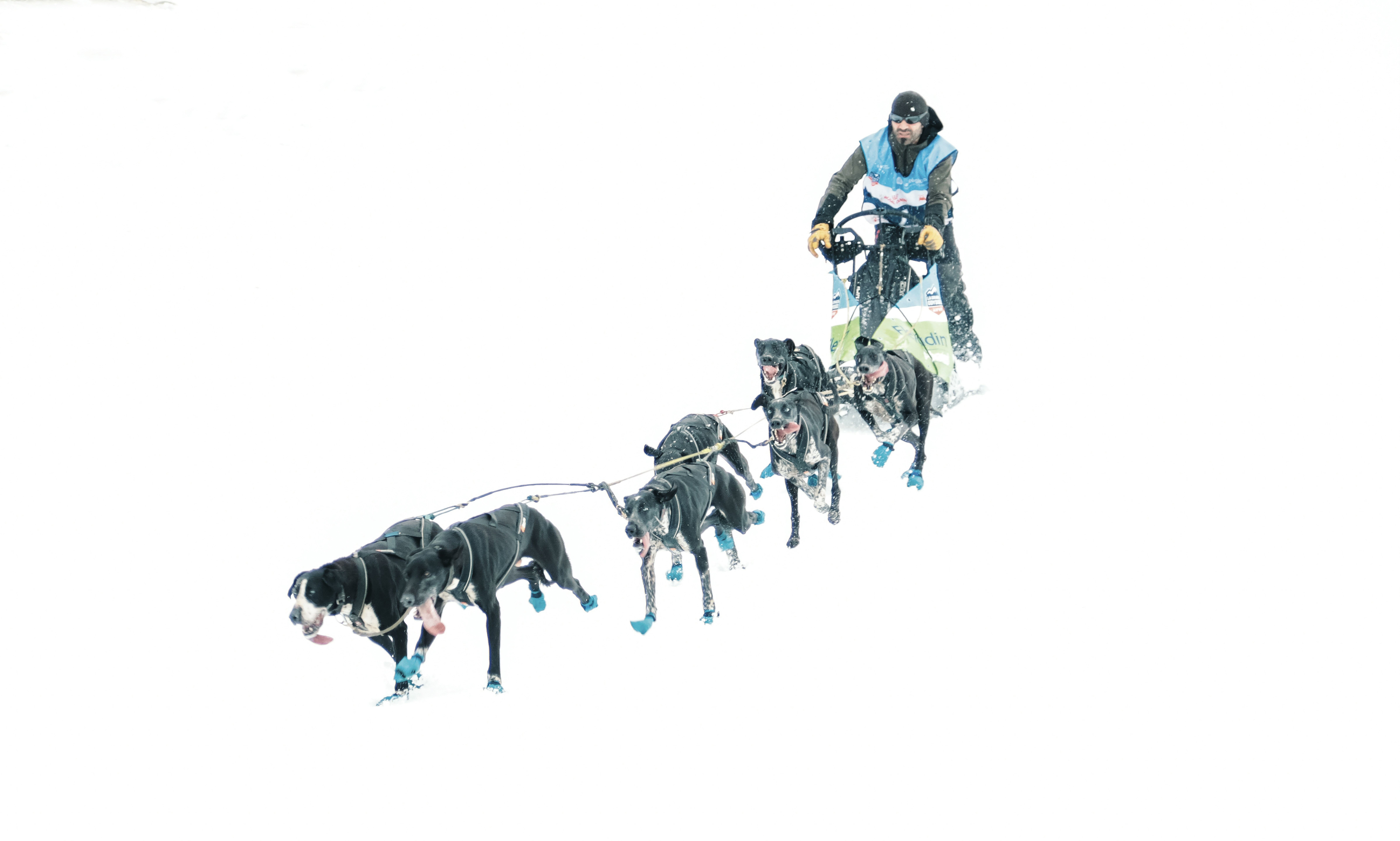 Un homme chevauchant un traîneau tiré par deux chiens