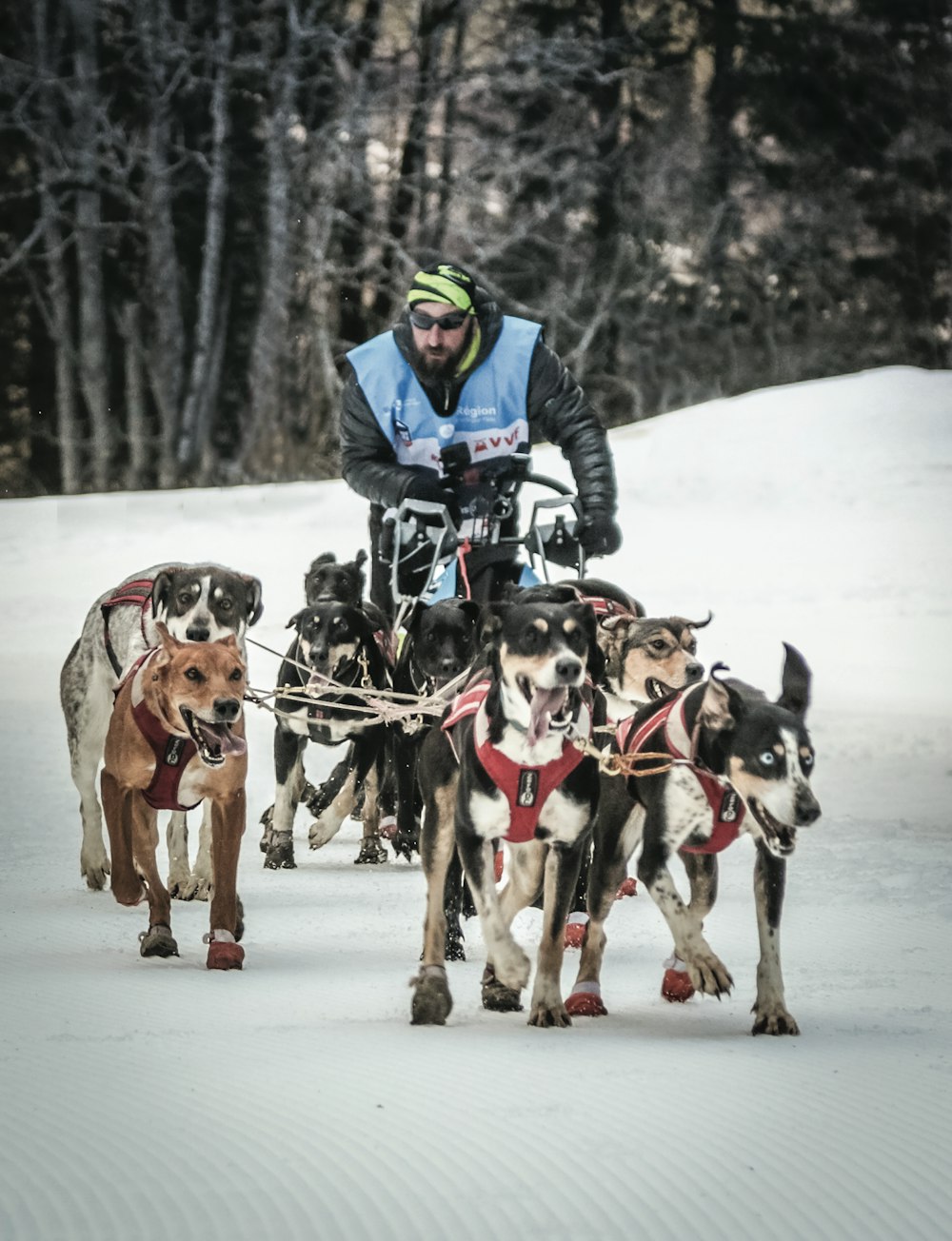a man riding a sled pulled by two dogs