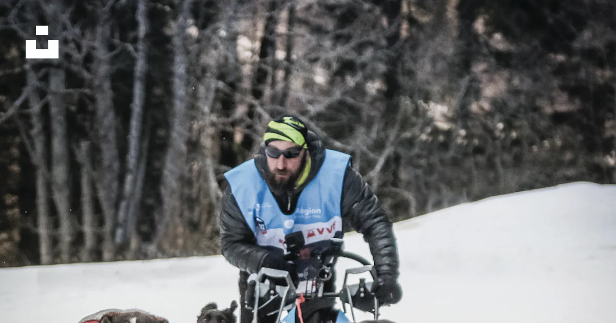 Man Riding Sled A man riding a sled pulled by two dogs photo – Free France Image on ...