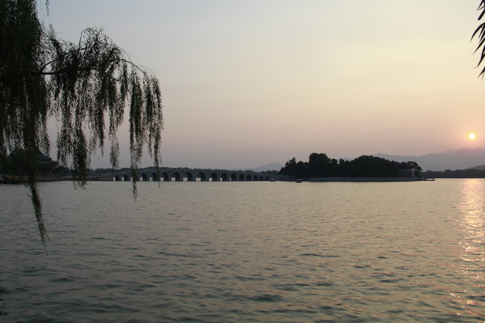 un grande specchio d'acqua con alberi sullo sfondo