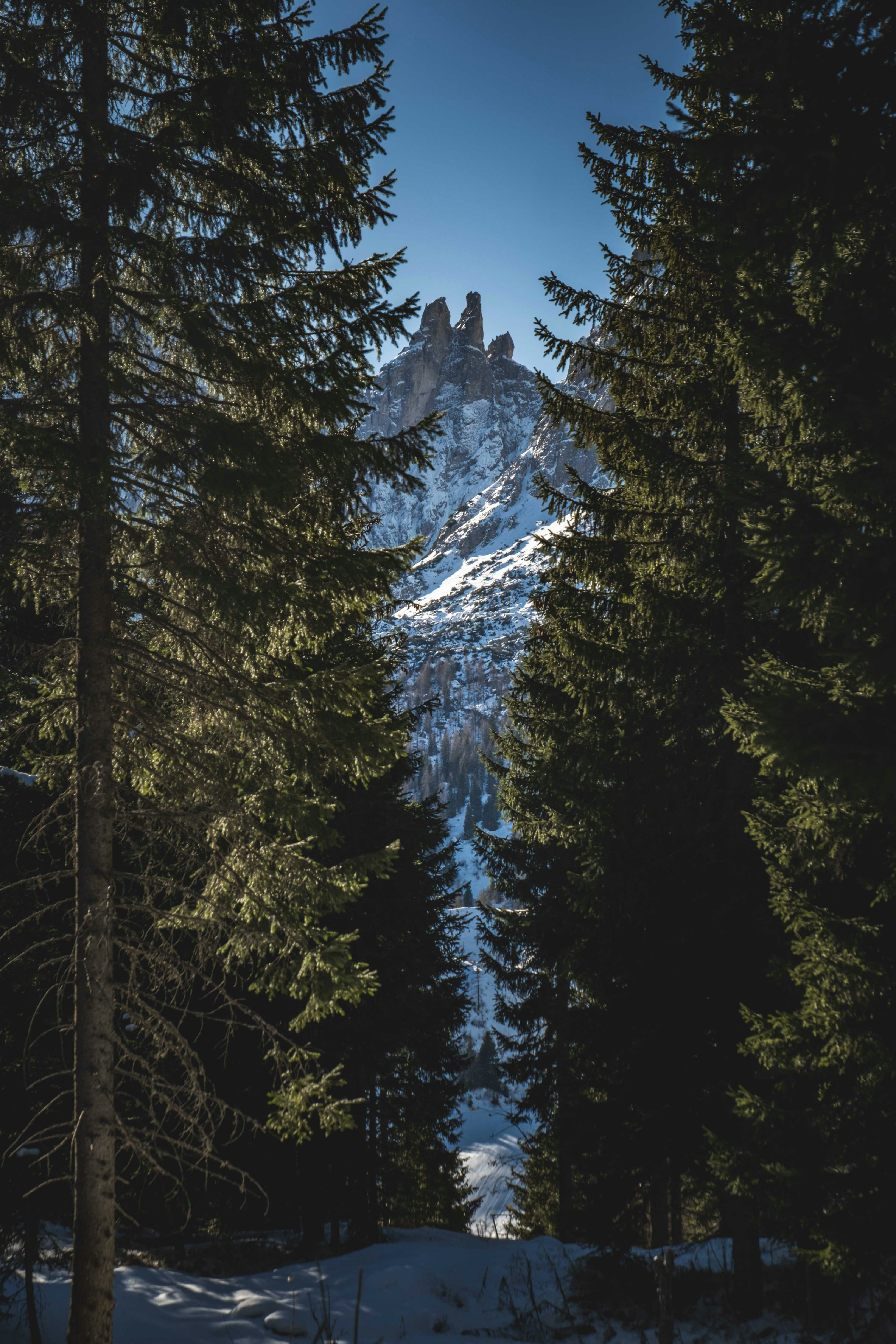 Photo by francesco_ungaro