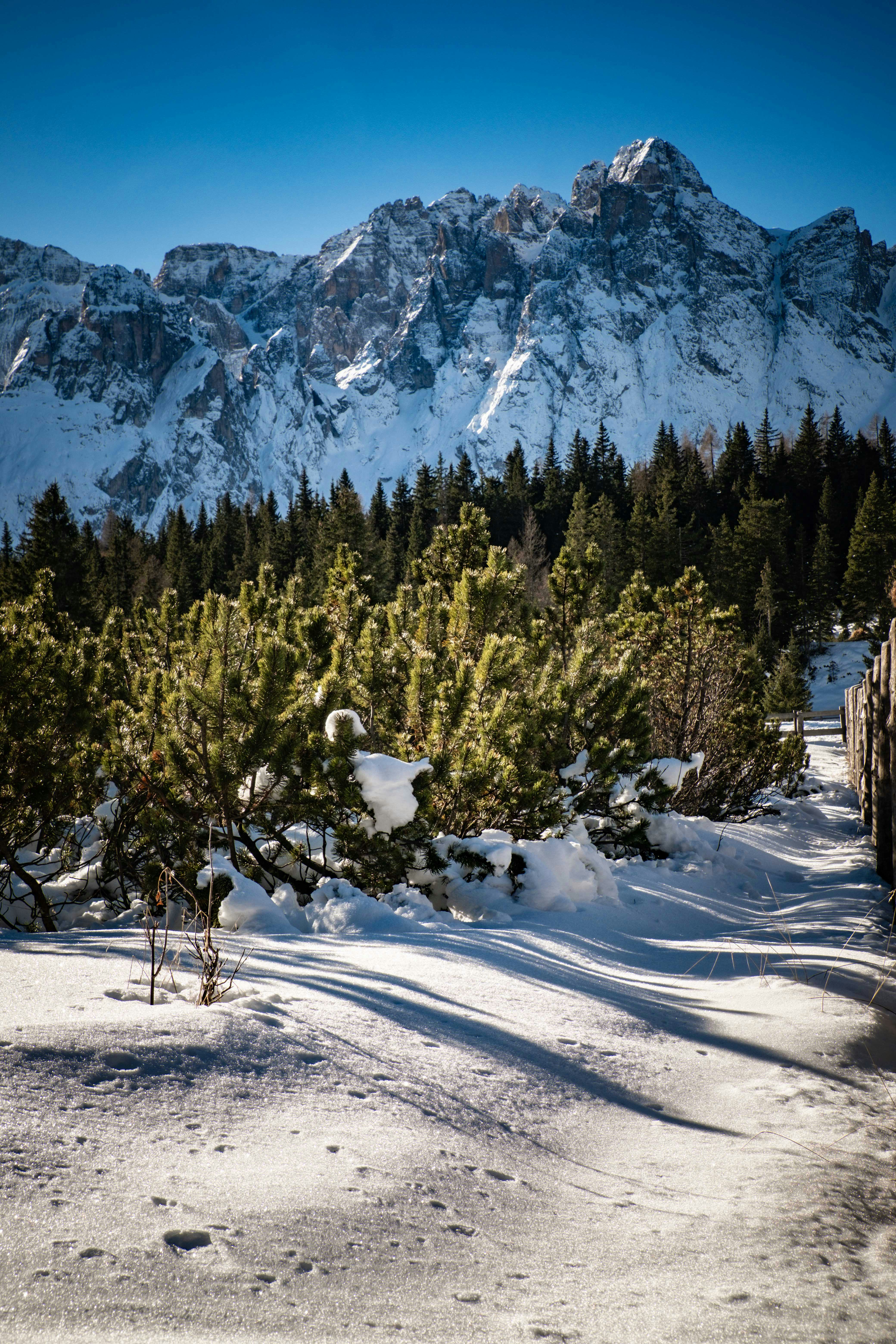 Photo by francesco_ungaro