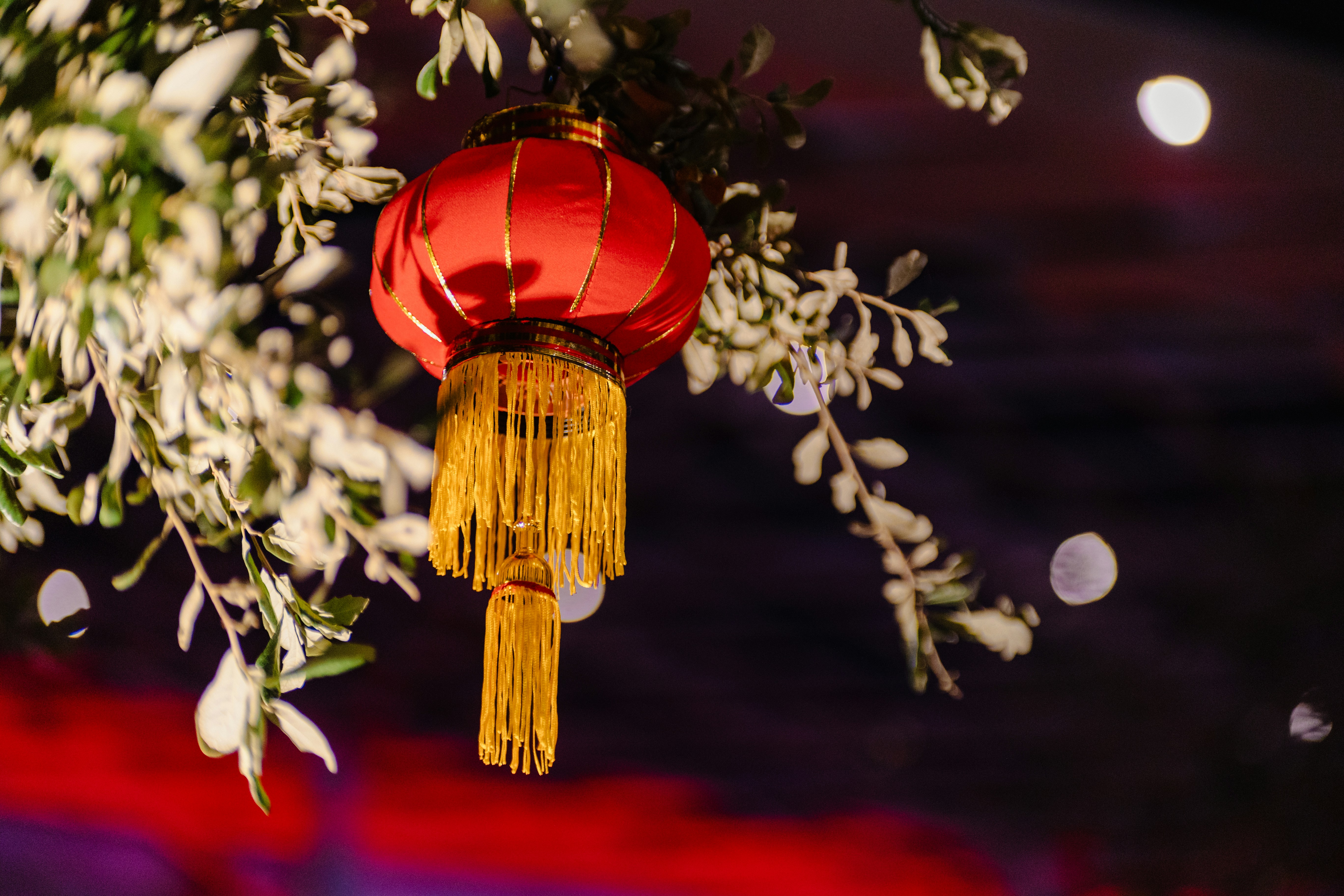 Silksong All Wishes Ultimate Guide - Unlock Every Wish Fast