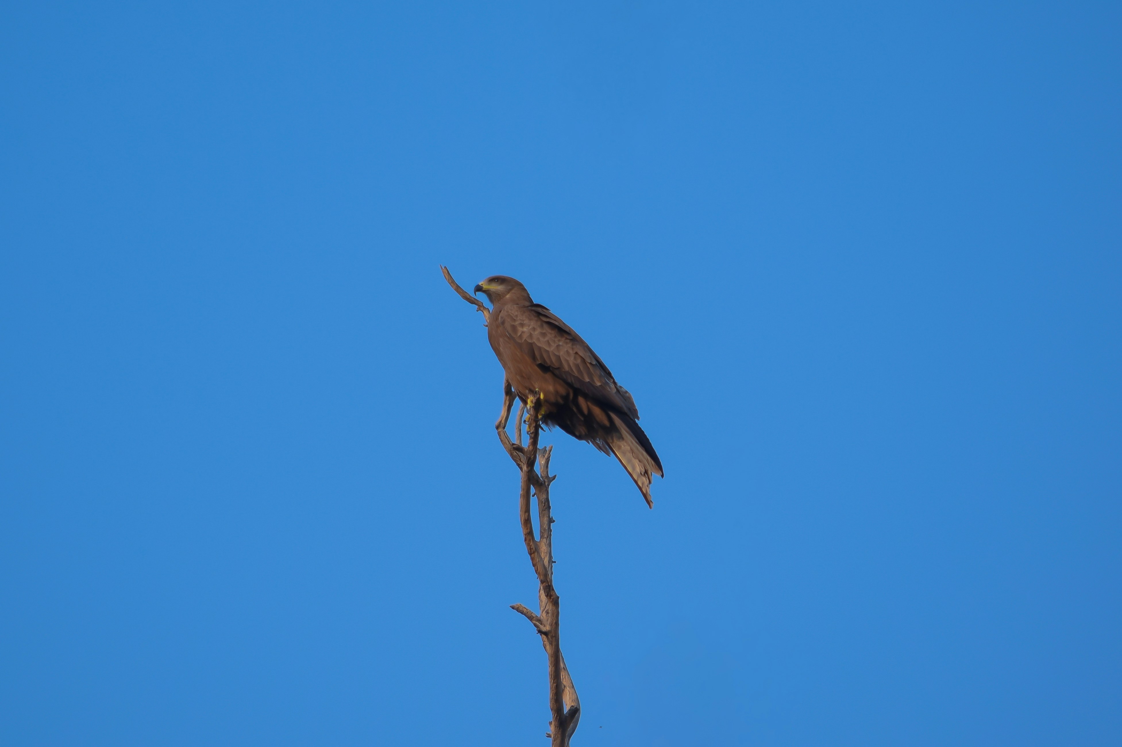 Photo by sajidazizk990