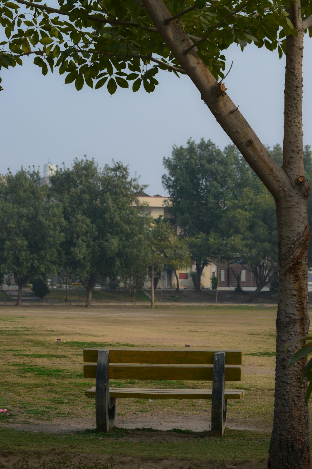 a park bench sitting next to a tree in a park