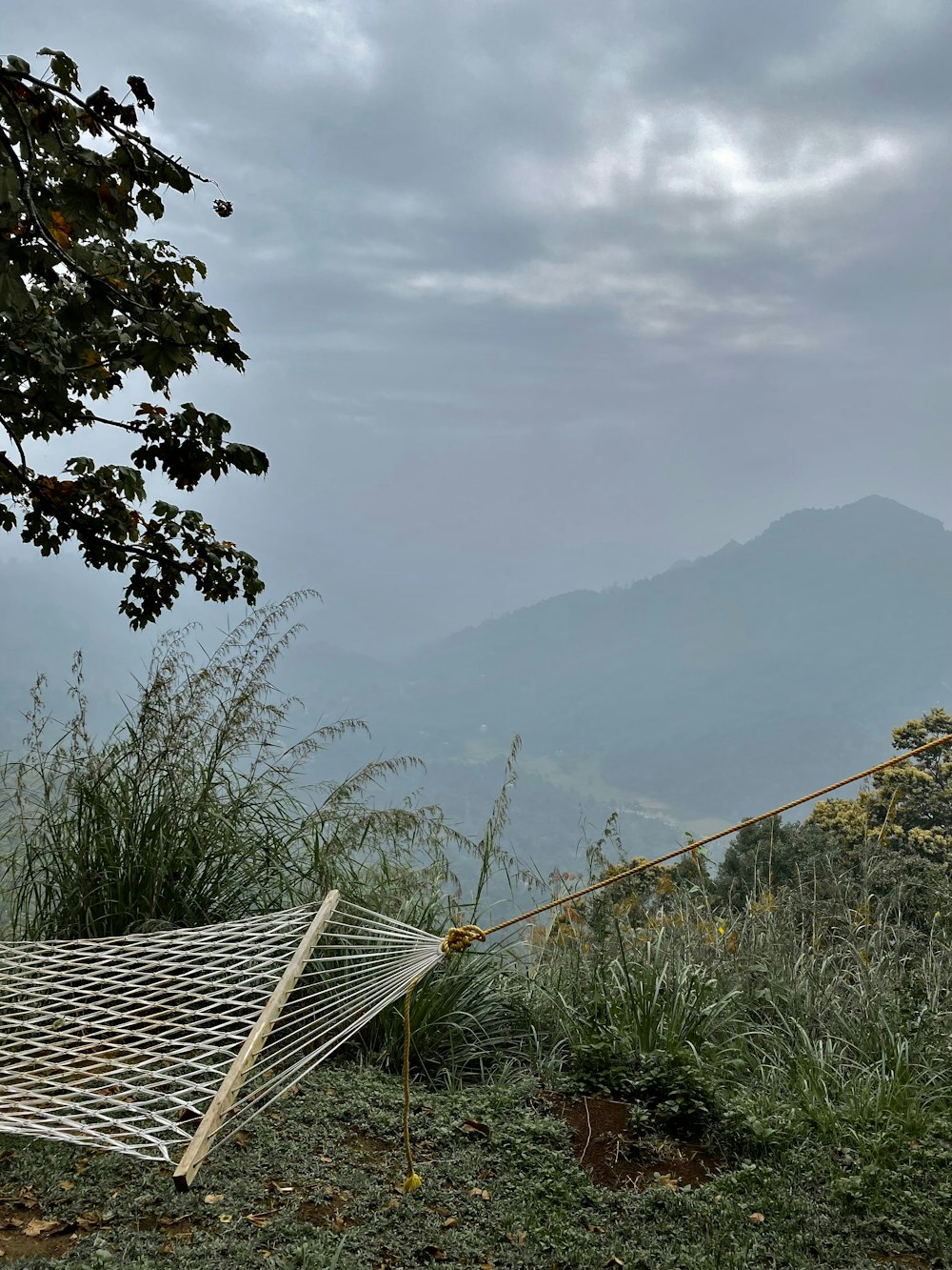 a white hammock sitting on top of a lush green hillside