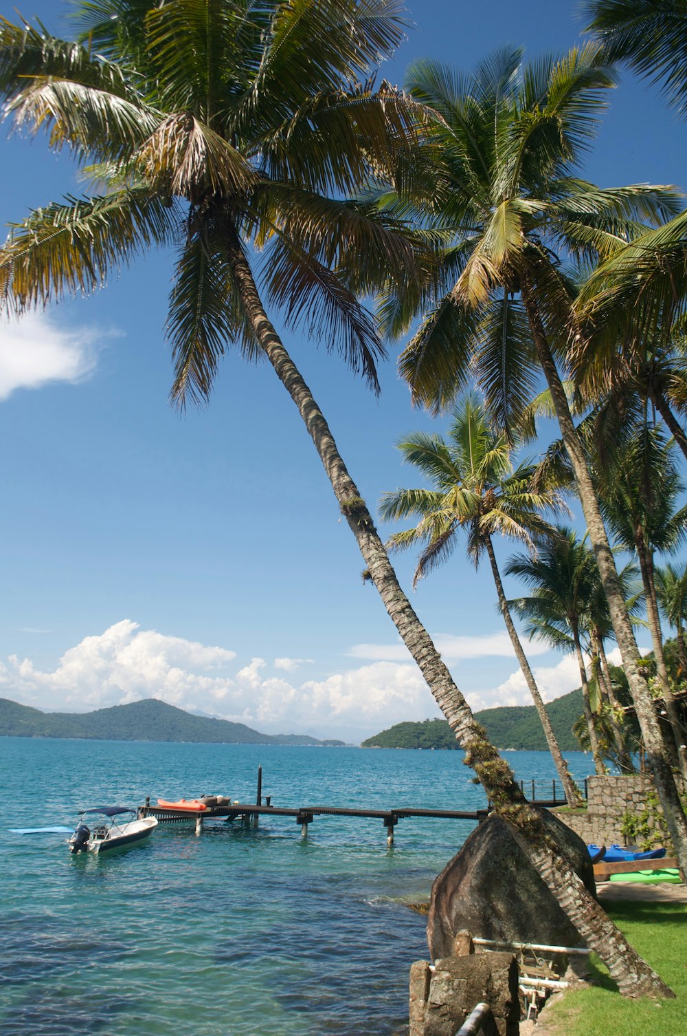 a beach with a boat and palm trees