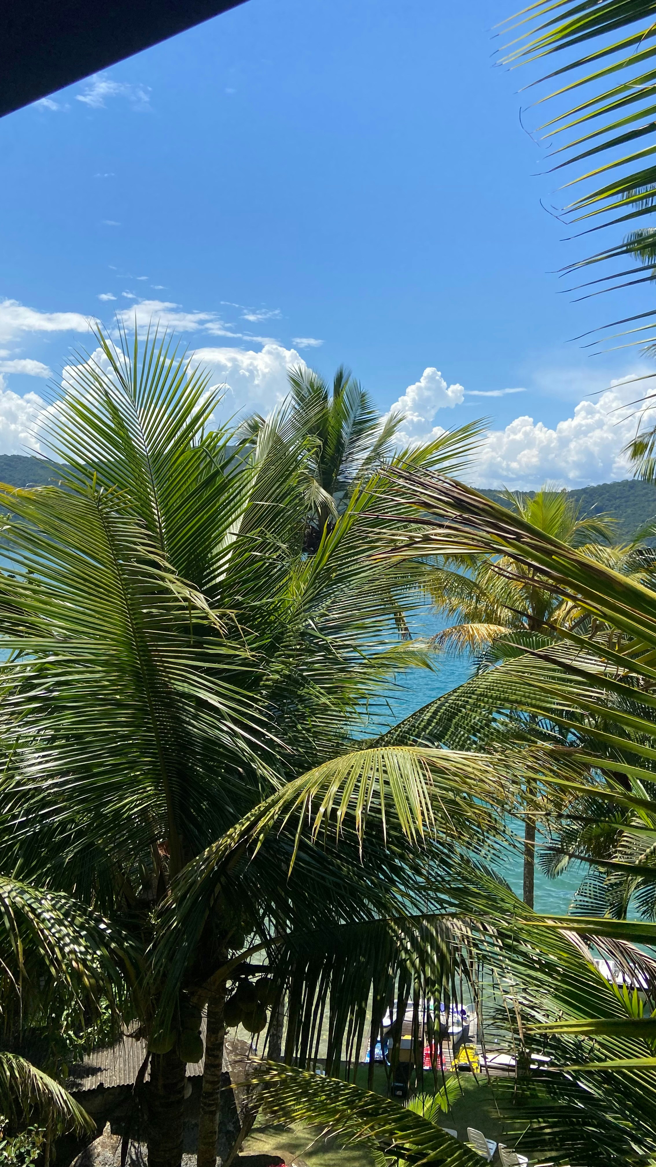 Photo by lucasbsallum