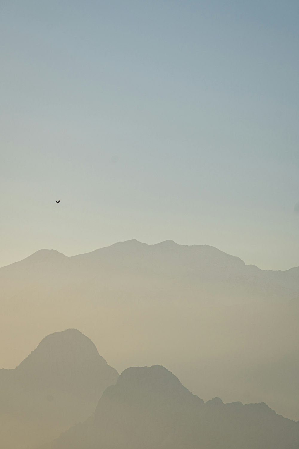 a bird flying in the sky over a mountain range