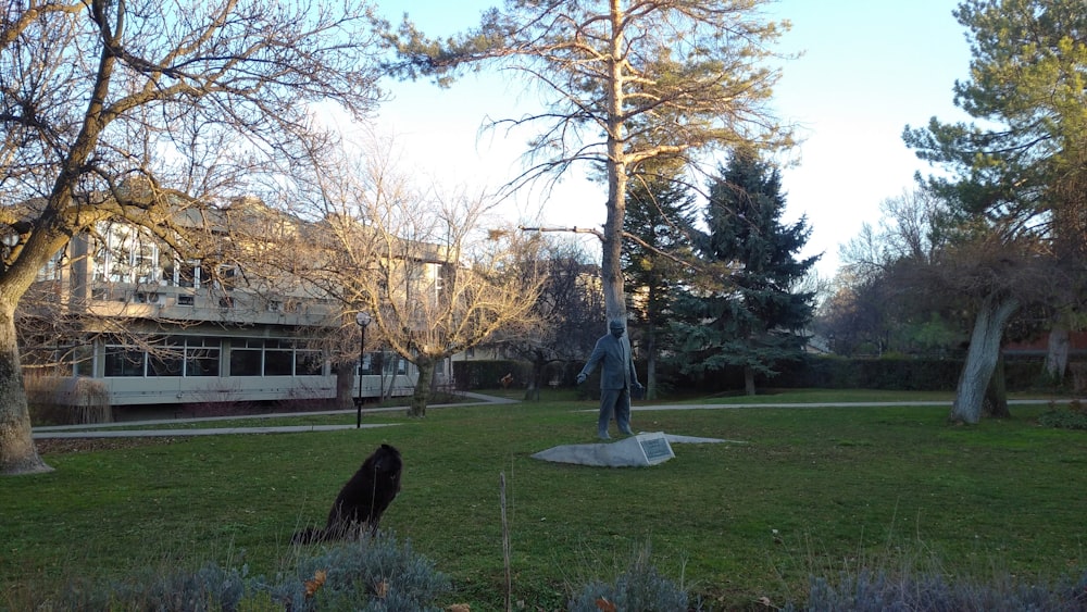 Eine Statue eines Mannes und eines Hundes in einem Park