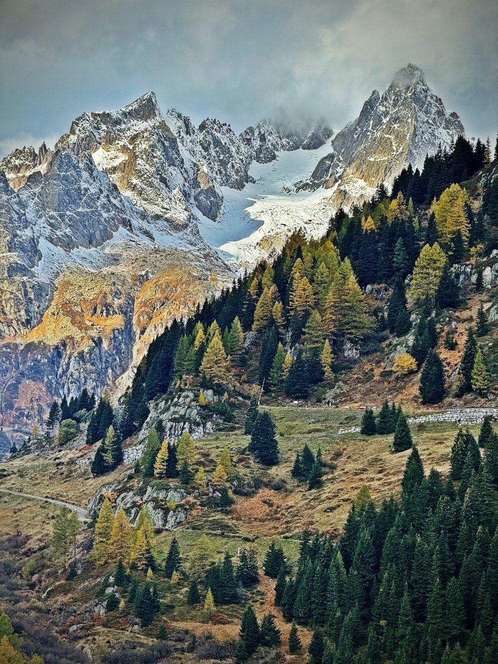 a view of a mountain range with trees in the foreground