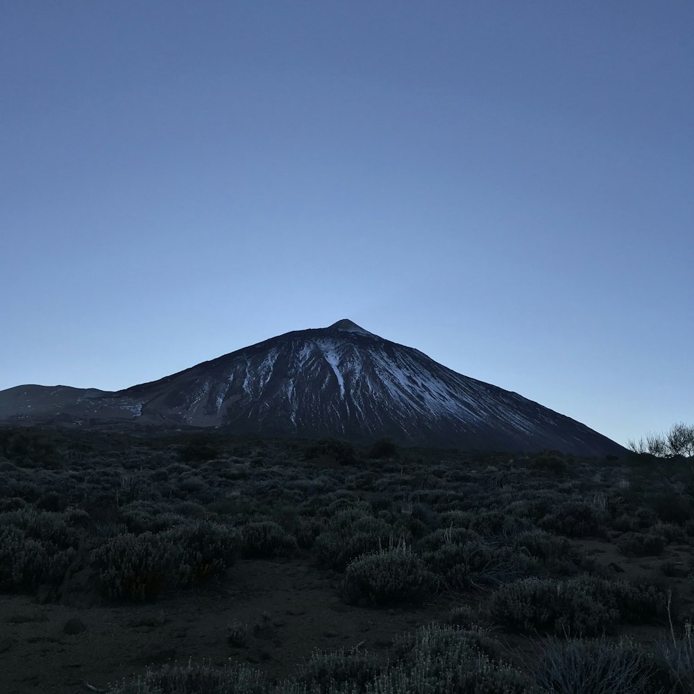 a snow covered mountain in the middle of a field