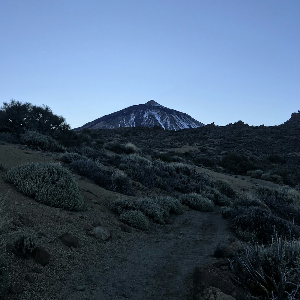 a dirt path leading to a snow covered mountain