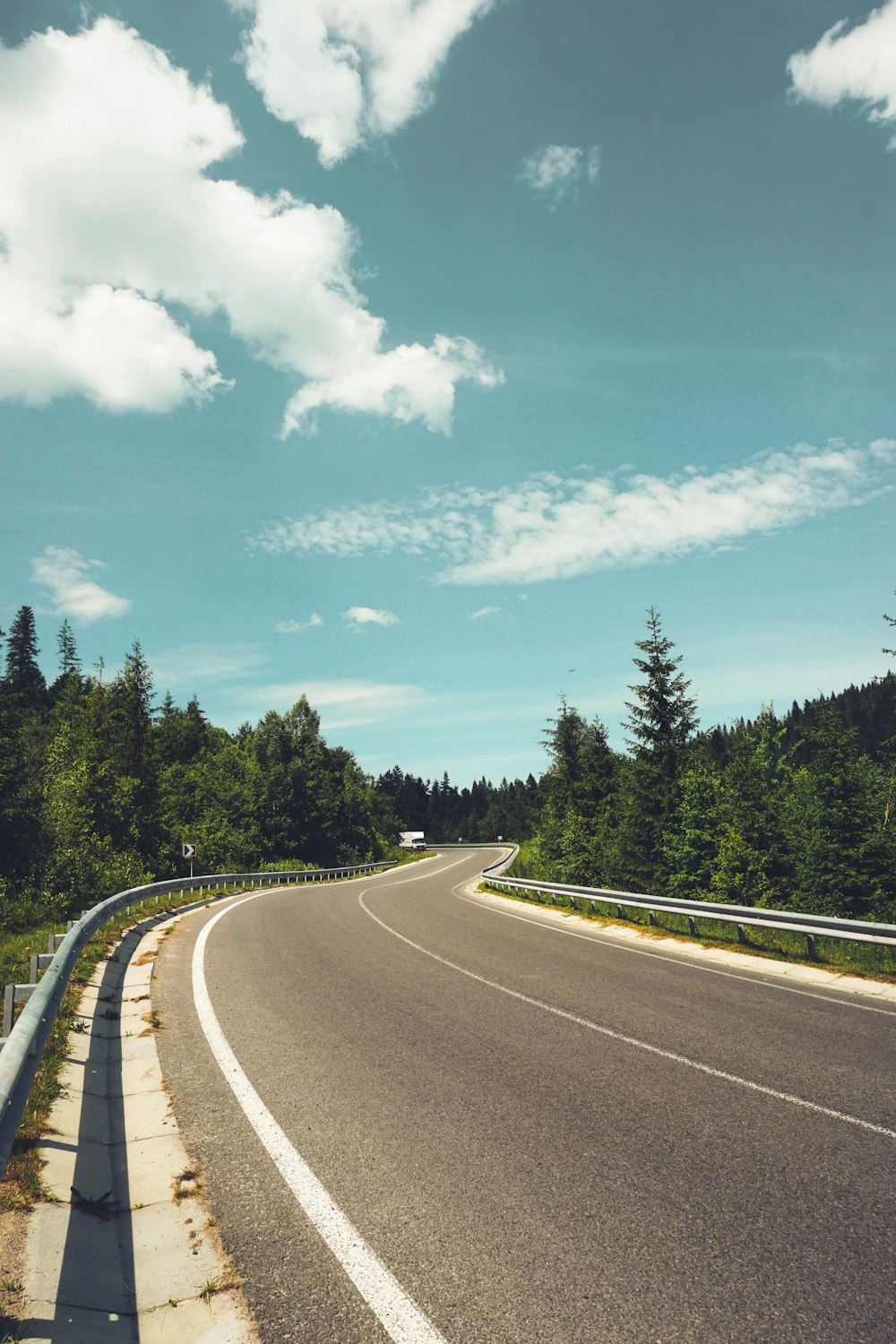 a curved road with trees on both sides