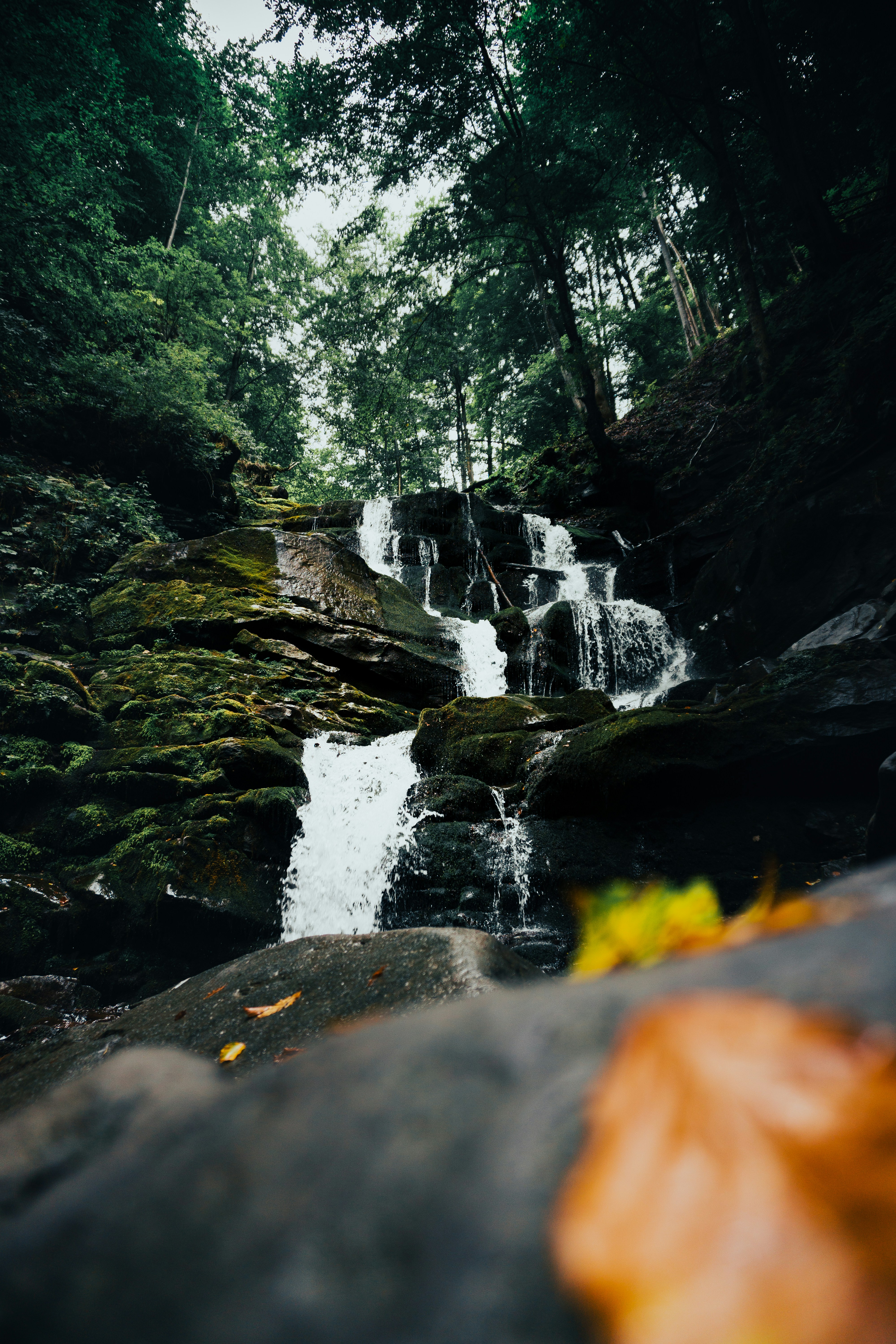 a small waterfall in the middle of a forest