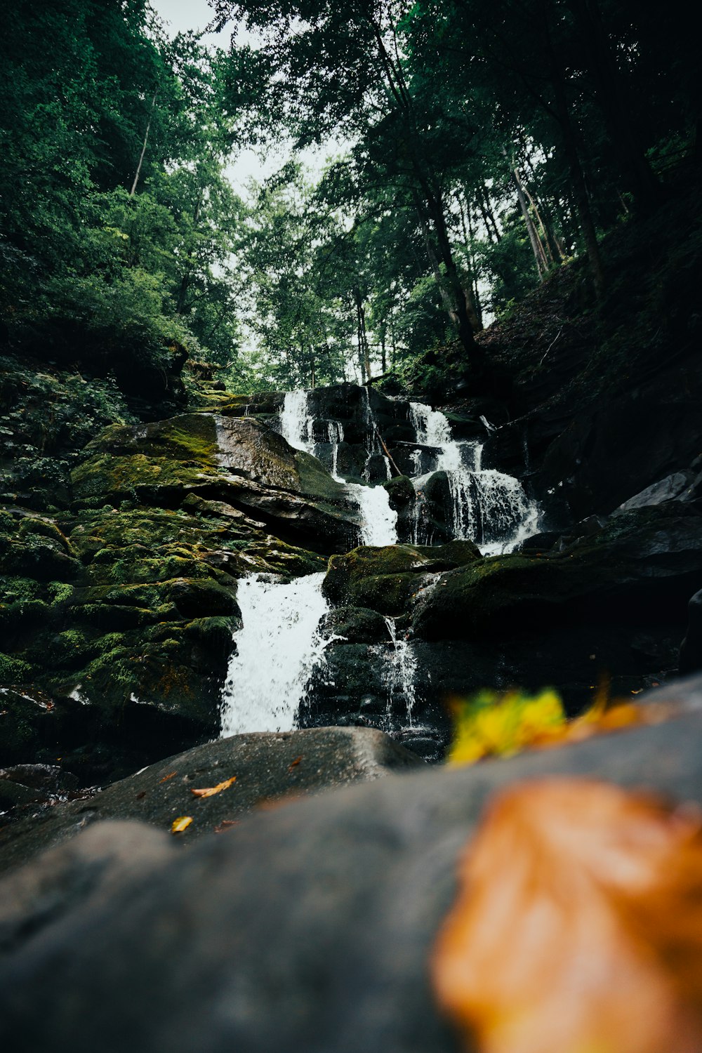 a small waterfall in the middle of a forest